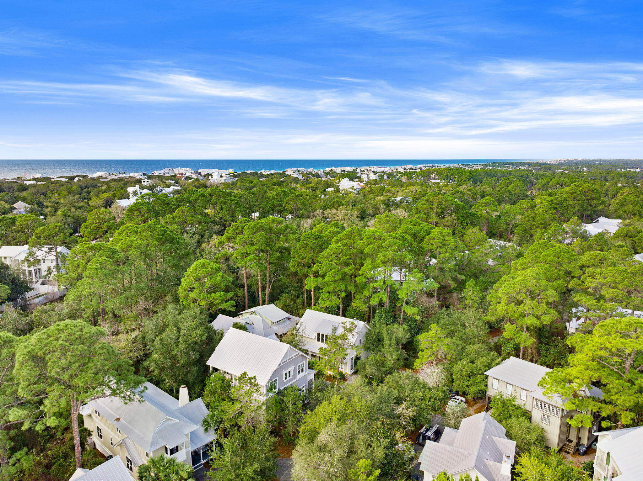 THE HAMMOCKS OF SEAGROVE - Residential