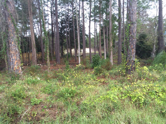 DAUGHETTES AMENDED - Land