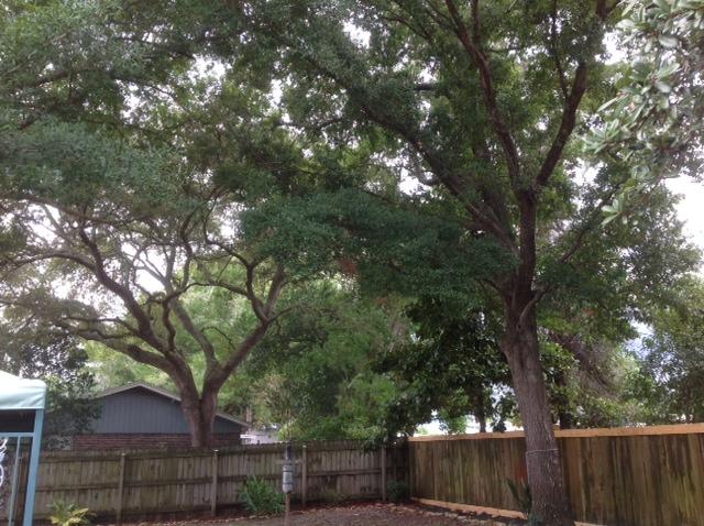 DONCASTER WOODS 1ST ADDN - Residential