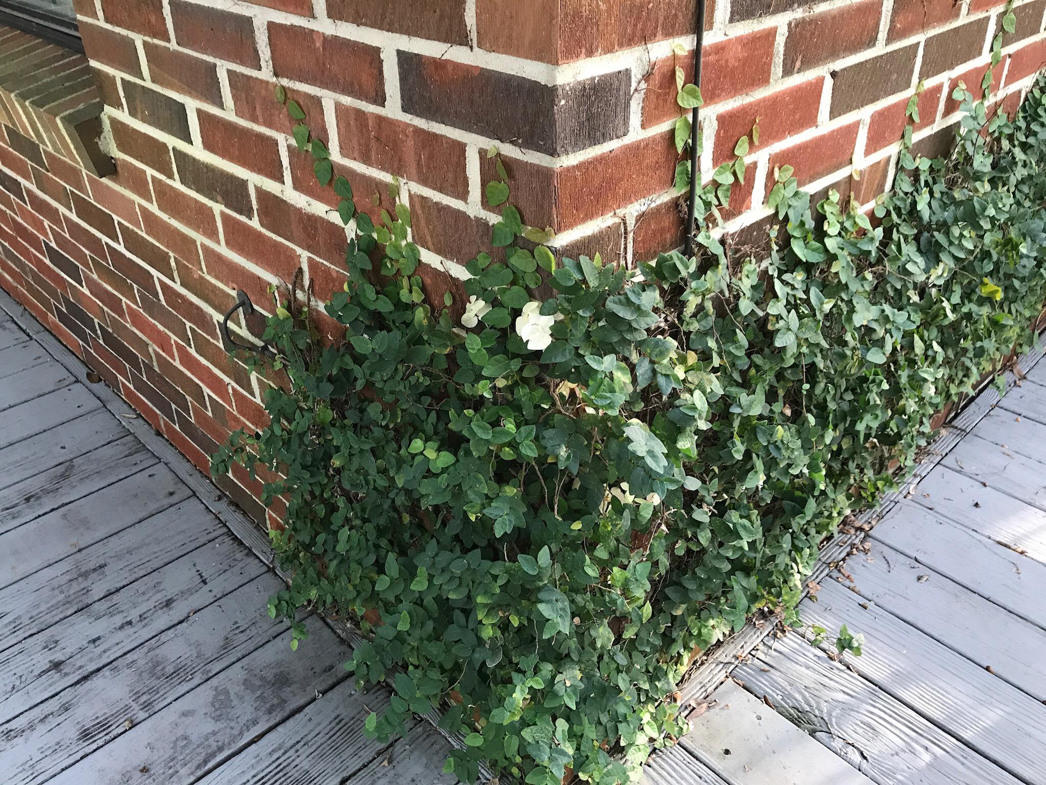 VALPARAISO PLAT 06 Lots 8 and 9 Block 10 - Residential