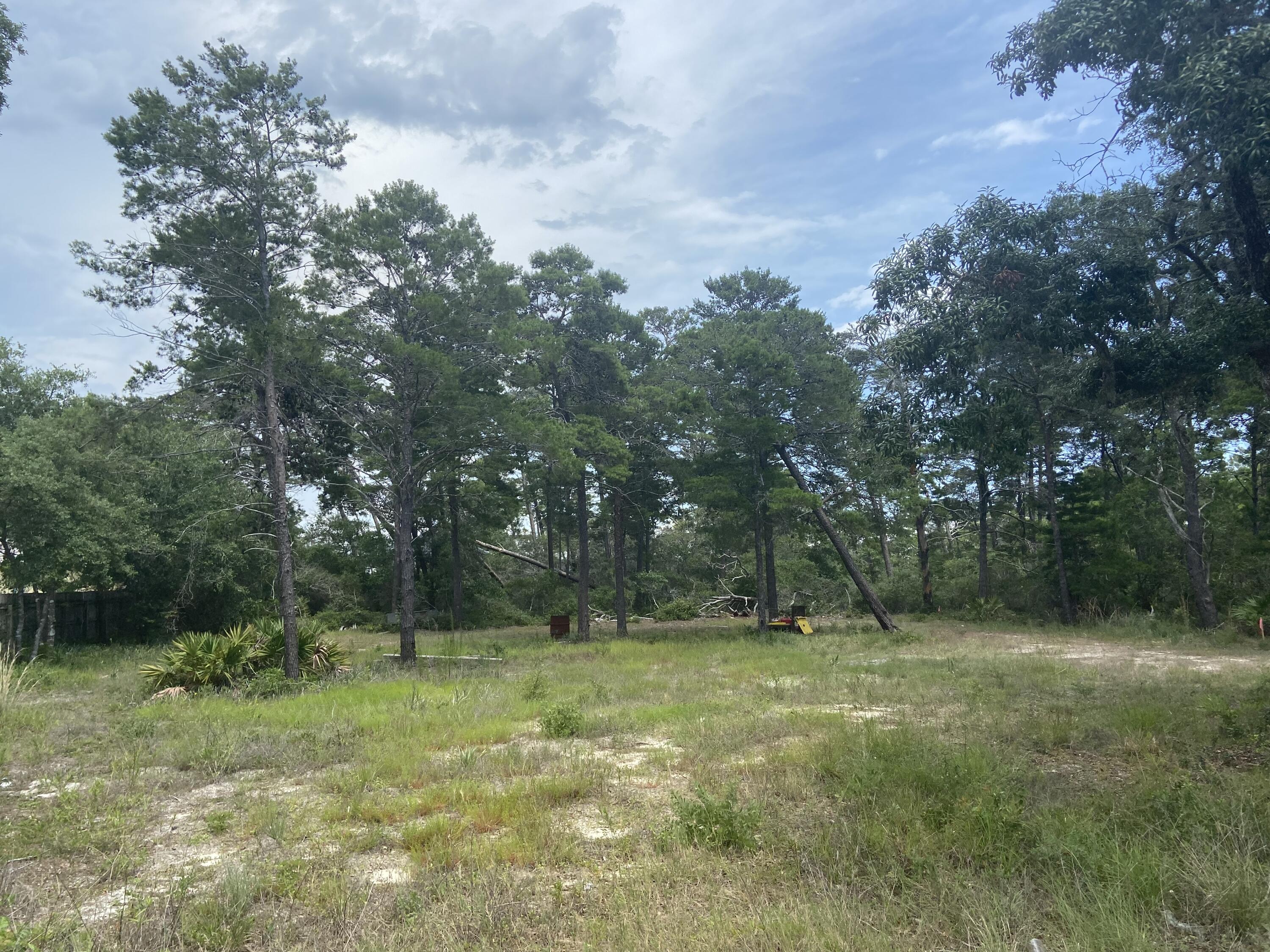 Co Hwy 393 South - Land