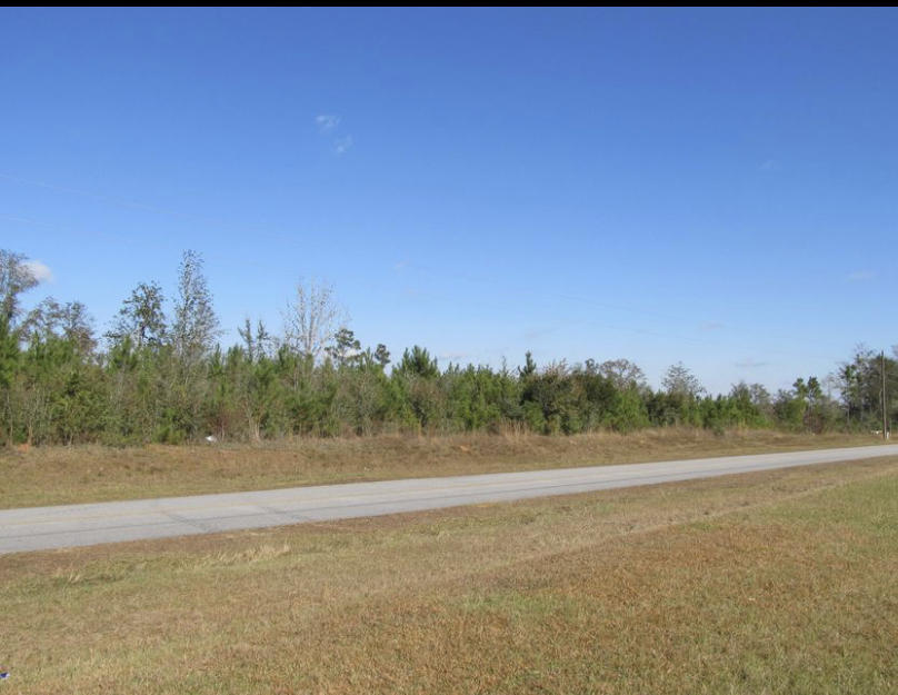 Large acreage in North Walton County. These 32 acres are located on corner of Blue Pond Lane and County Hwy 1883. You will have paved road frontage on either road. This parcel is unrestricted and is not part of the Blue Pond HOA. Whether you are looking for a home site in one of North Walton County's most desirable neighbors or looking for a place to hunt and trail ride, this property is perfect.