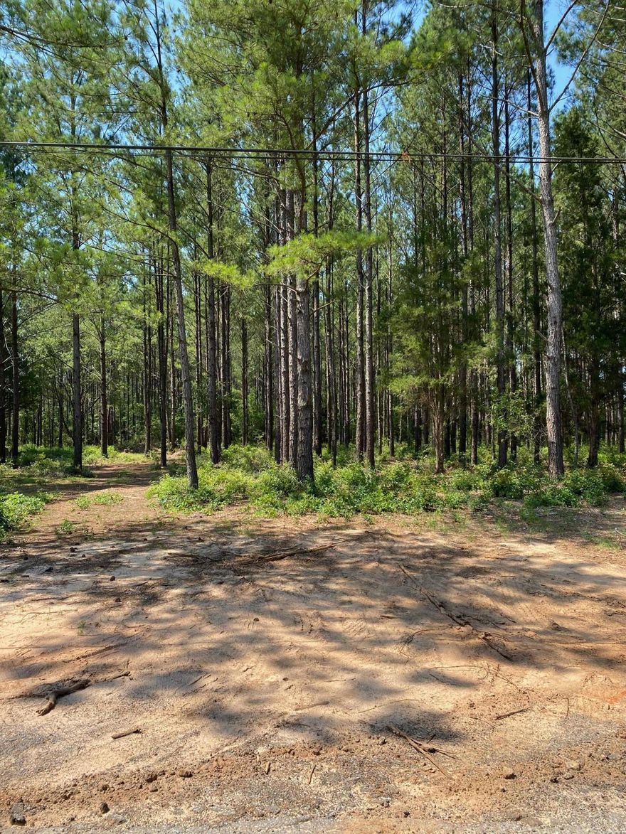 Beautiful lot on a dead end road in Milton. Quiet area not far from exit 31 on I-10 but tucked away in a neighborhood. 4.26 acres with no wetlands as study has been done. Planted with plantation pines and a few Oak trees, this property can be a showstopper.  Walk this beautiful property and feel the peace and tranquility it has to offer.