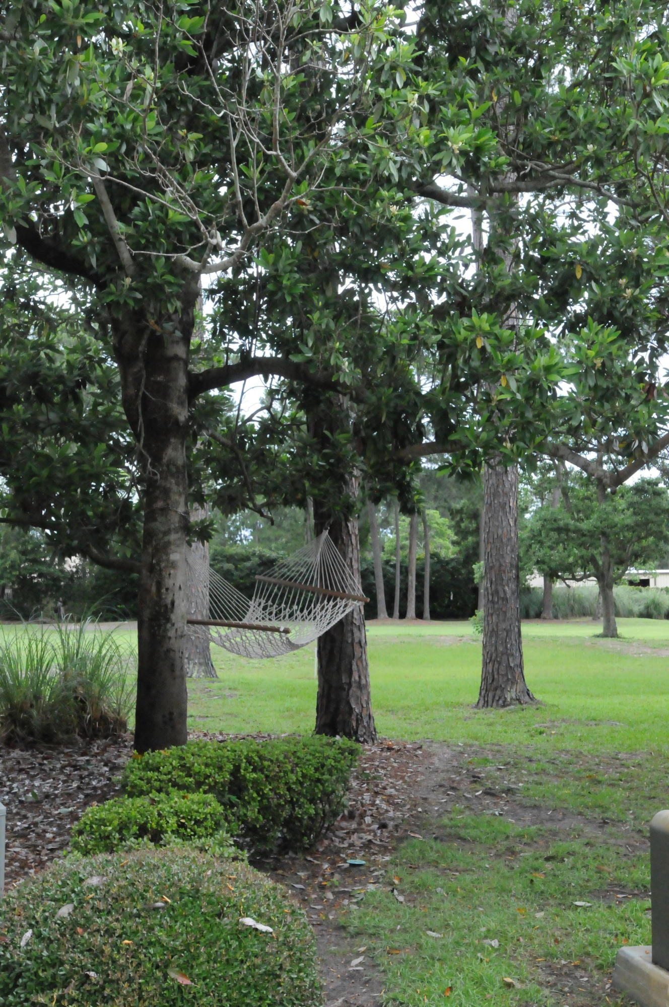 GLENEAGLES GREEN BLUEWATER BAY - Residential