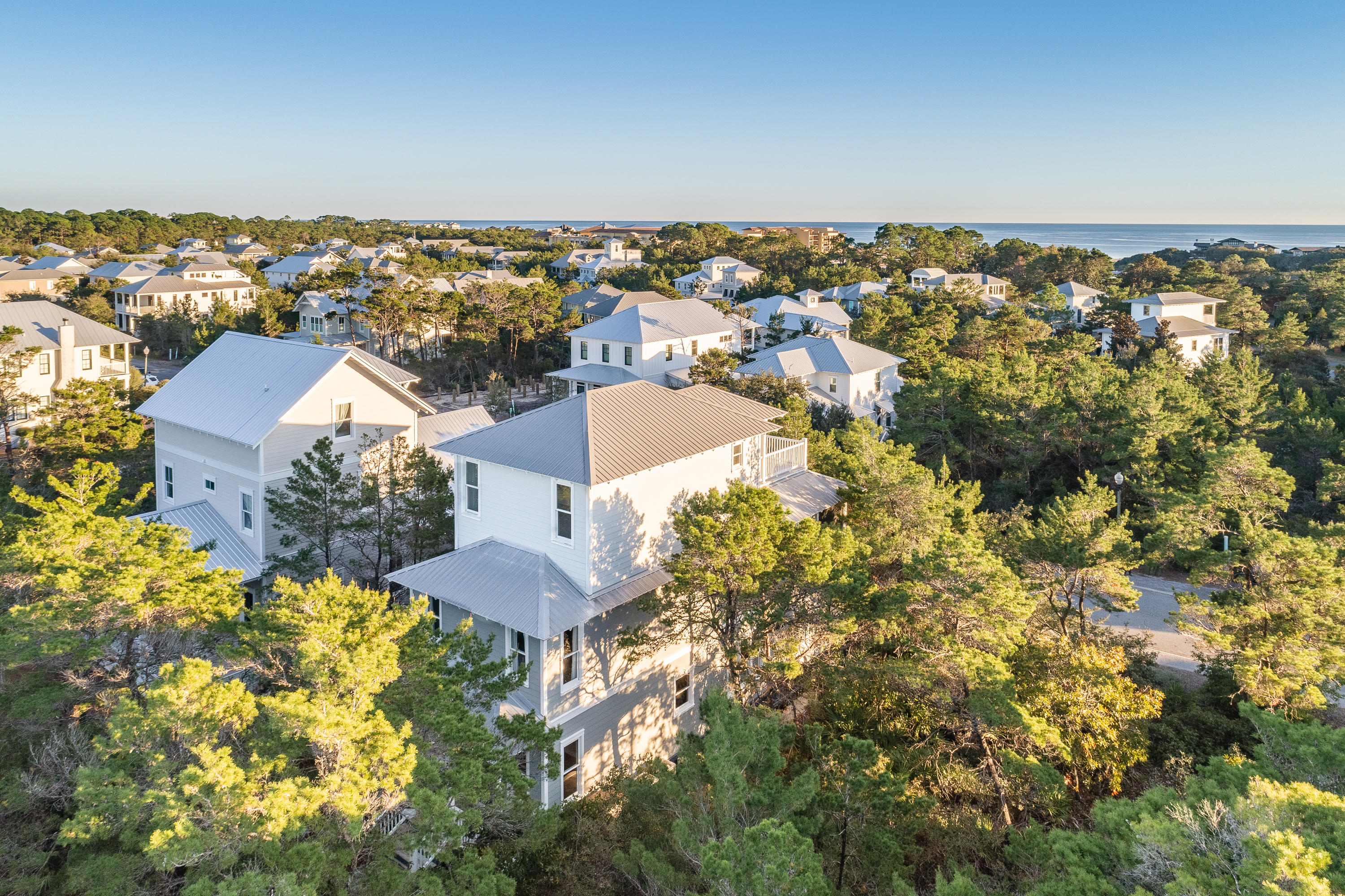 THE PRESERVE AT GRAYTON BEACH - Residential