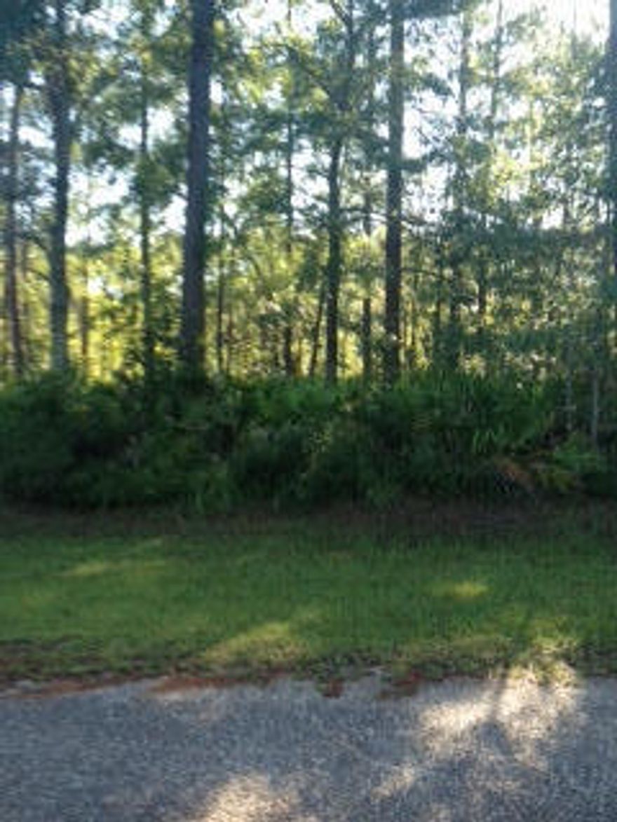 Nice wooded lot in super quiet subdivision off of Bay Loop Road( County Road 83-A). City water and sewer available. Priced to sell.