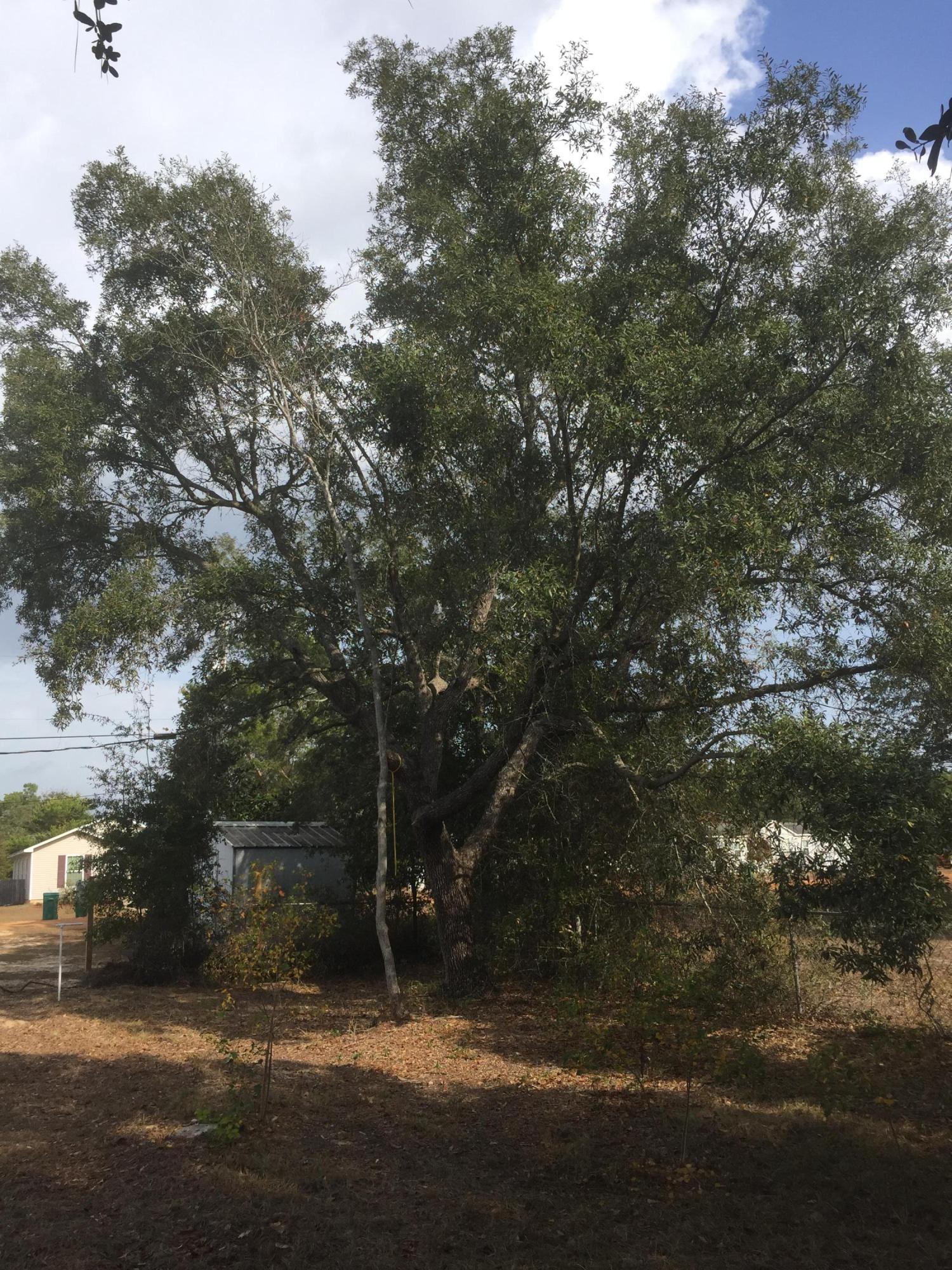 BLACKJACK ESTATES - Land