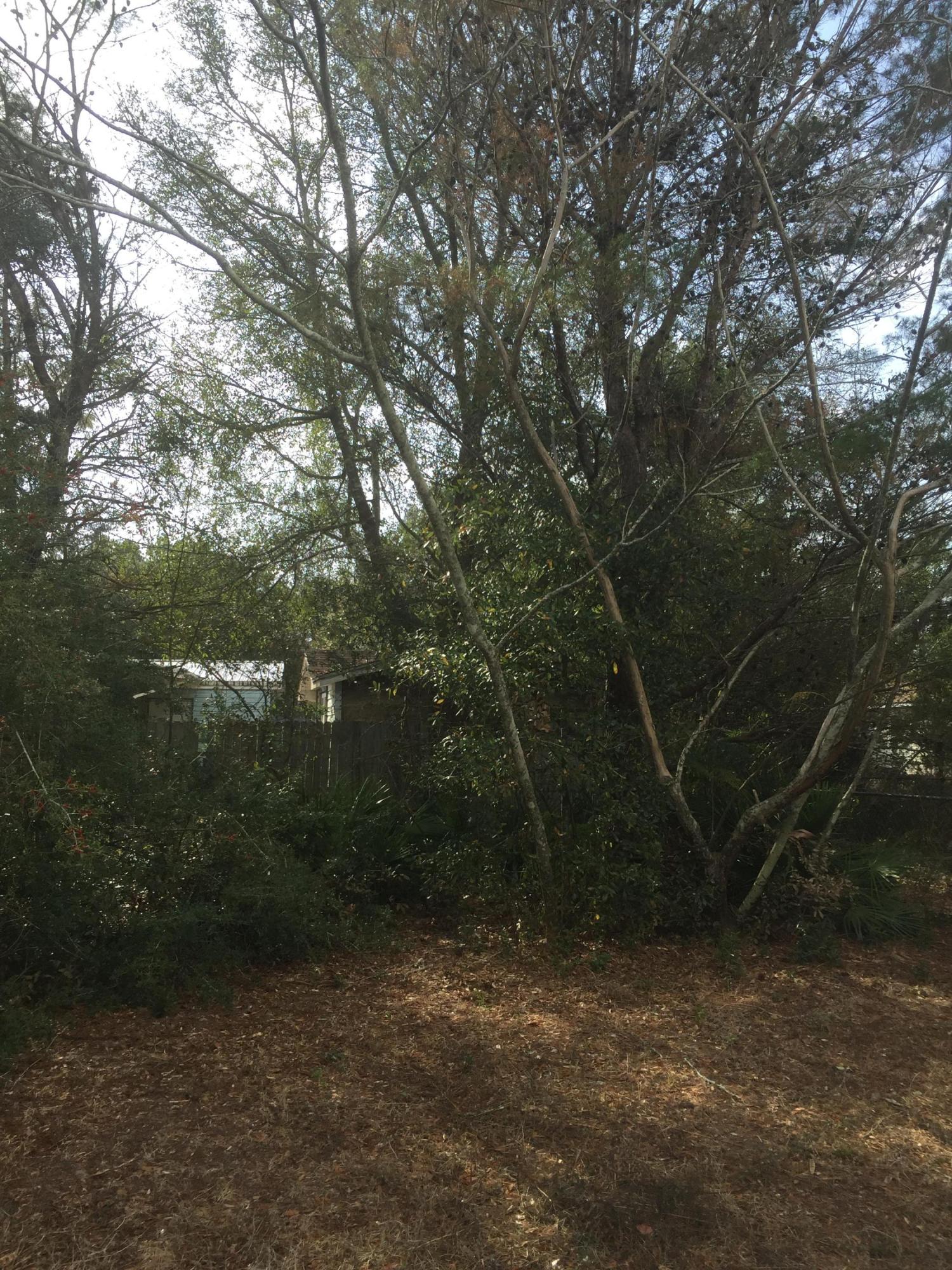 BLACKJACK ESTATES - Land