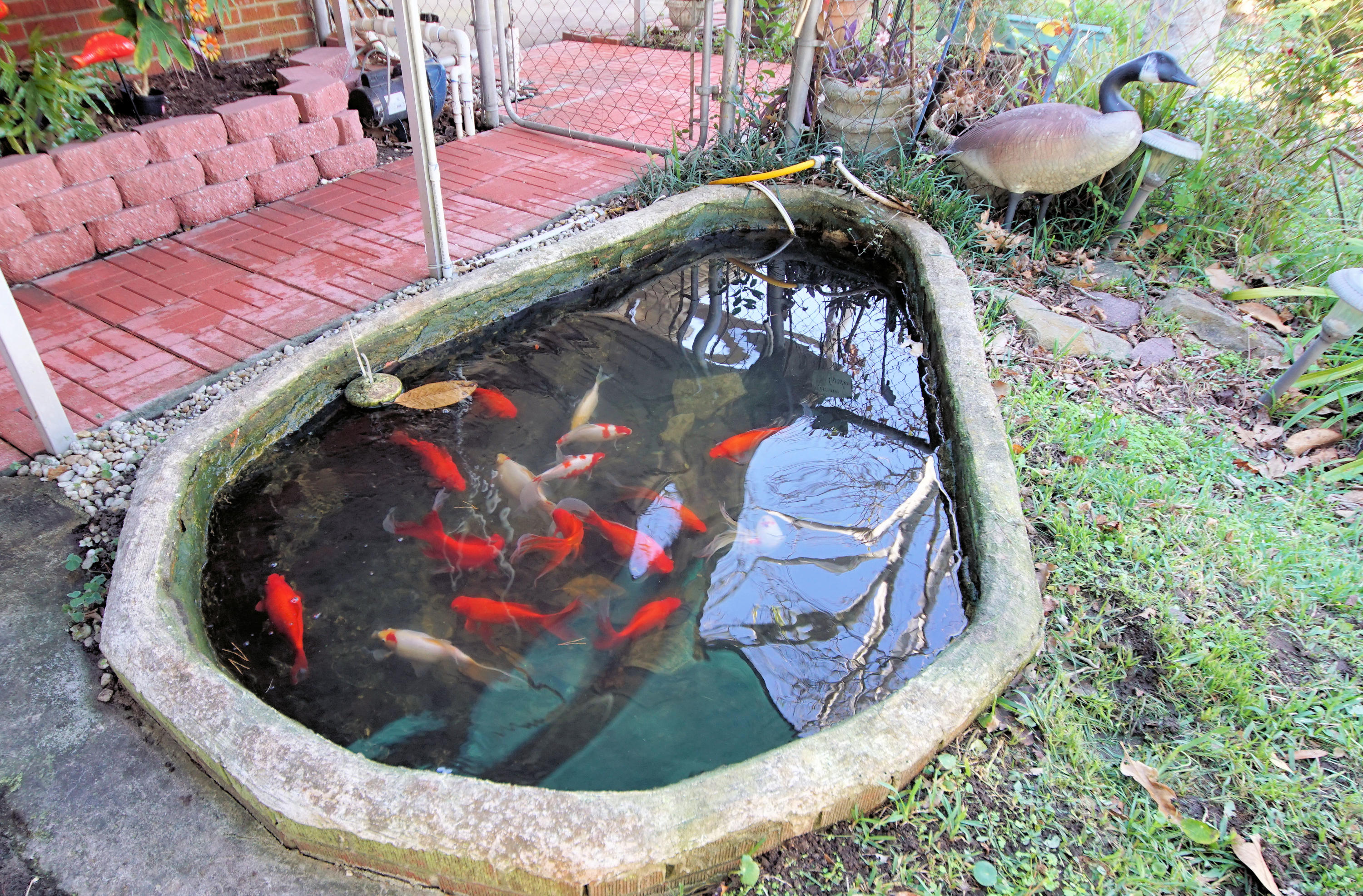 GARNIERS BEACH 7TH - Residential