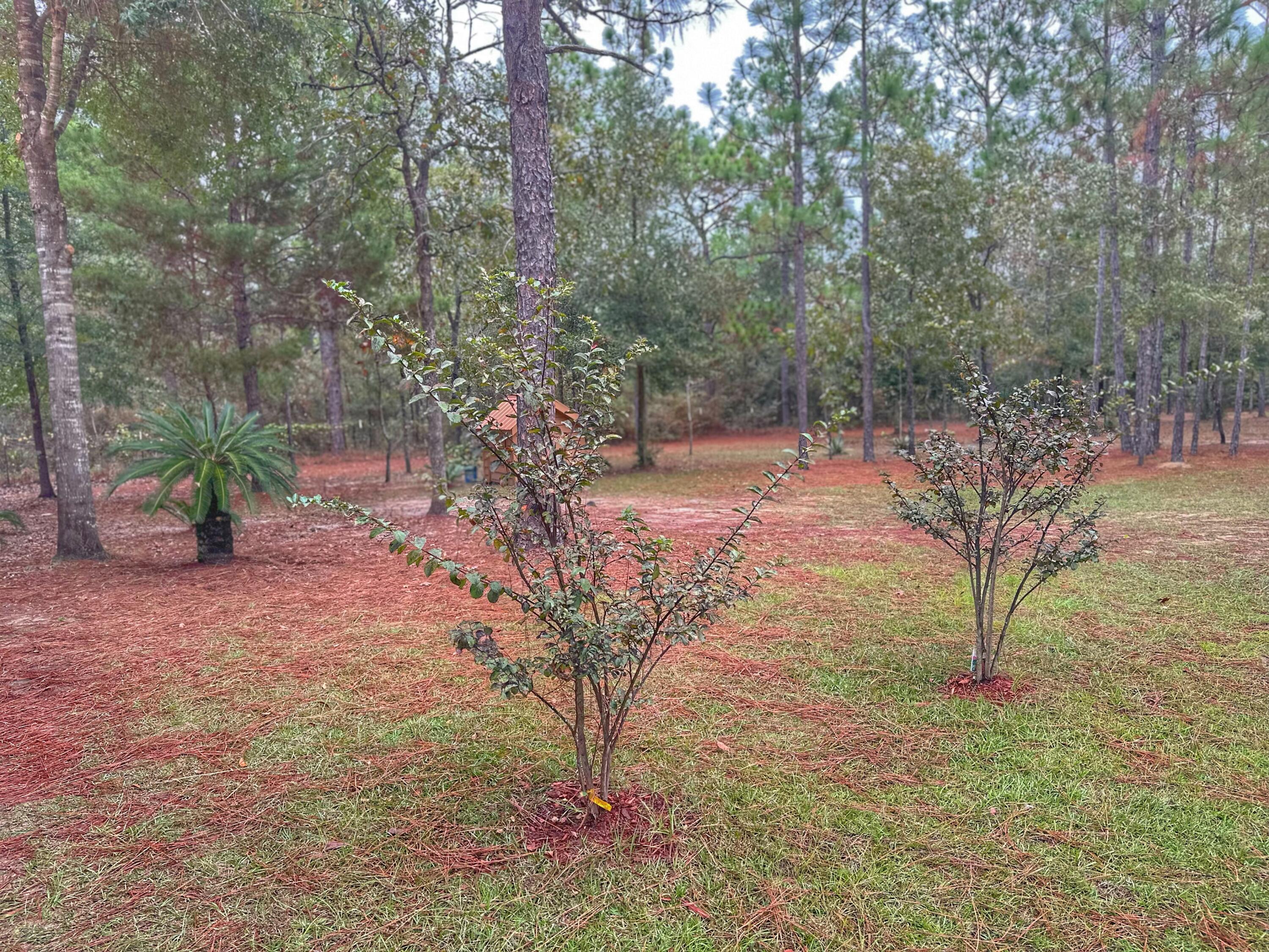 OAKWOOD HILLS UNIT 4 - Residential