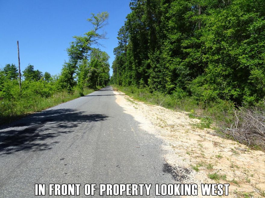 Country Acreage On A Paved Road! Driving Distance To Gulf! Possible Public waterIf you're looking for a quiet countryside homesite with room to spread out, this is the property for you! Very few immediate neighbors on this street. Nice secluded country atmosphere.A perfect place for your future homestead. Plenty of room to clear trees as you see fit and build your homesite in the forest. Enjoy the peaceful, quiet countryside without being too far away from city amenities and gulf coast beaches!Just 10 minutes to Crestview where you can find Walmart, Publix, Schools, Restaurants, and more. No Deed restrictions- but verify. For fun and recreation, you're just 45 minutes from Destin.