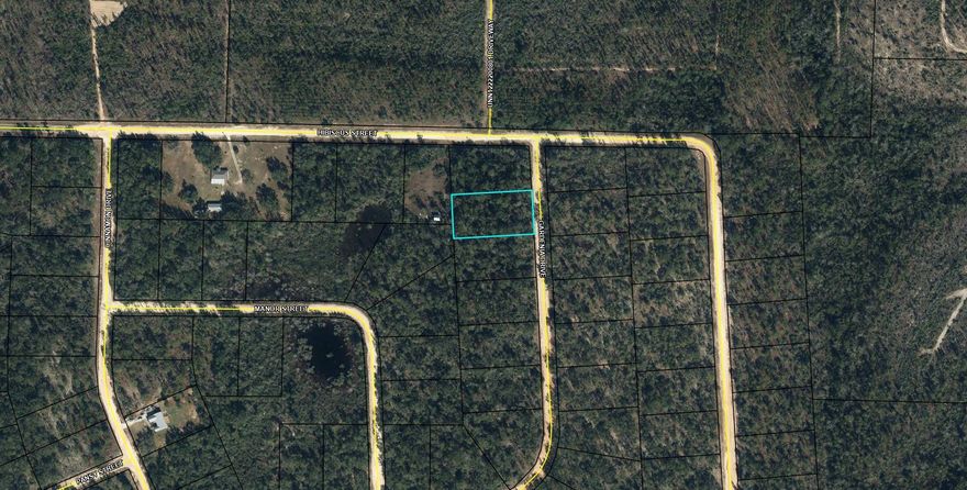 Large 1.173 acre lot in Compass Lake in the Hills. here is a voluntary HOA of $135 a year, but what a great price for all the amenities that are included such as: access to 2 lakes for fishing, tennis, horse stables / riding, rental cabins, RV spots, boat rentals, clubhouse, and a golf range. Being an all-sports lake, enjoy water skiing, tubing, jet skiing, boating, sailing, kayaking & swimming. No need to worry about lunch while out on the water when you have a boat accessible shoreline restaurant. This location is great for someone who enjoys nature and a short drive to the beach since it is located half way between Panama City And Dothan. seller ha many parcels in Compass Lakes and willing to sell in a package or separate