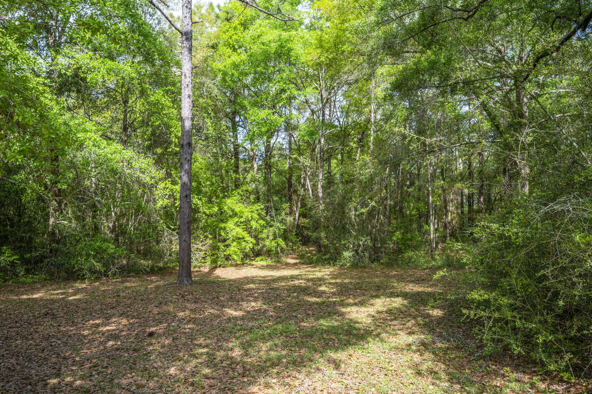 KENNEDY LAKE (UNRECORDED) - Residential