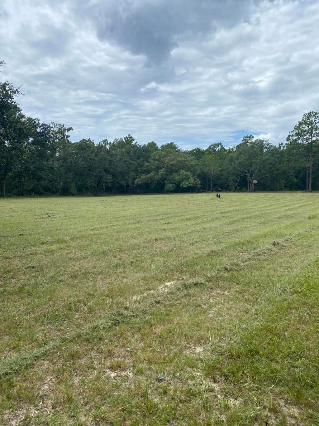 listing image 30