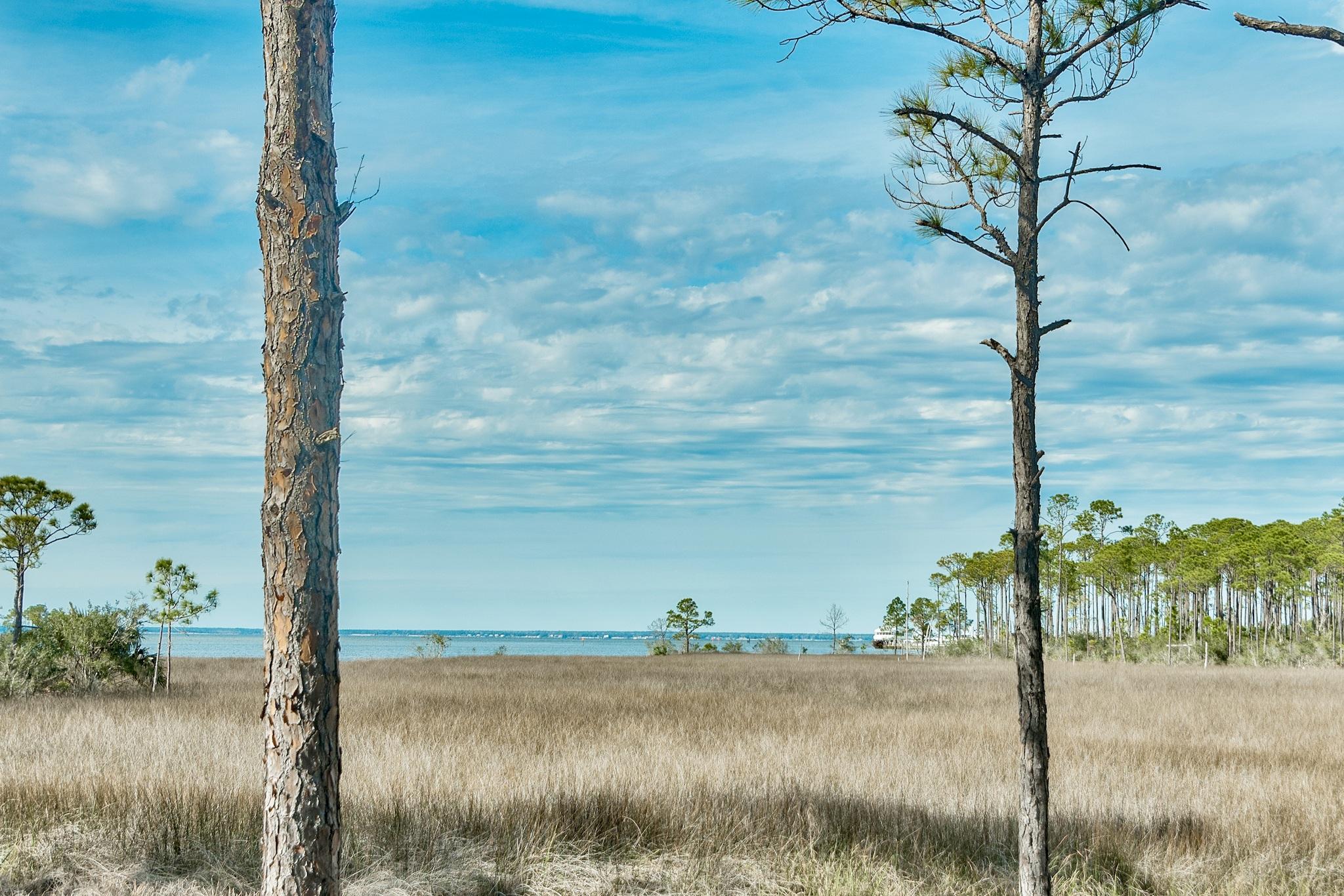 HERON WALK - Residential