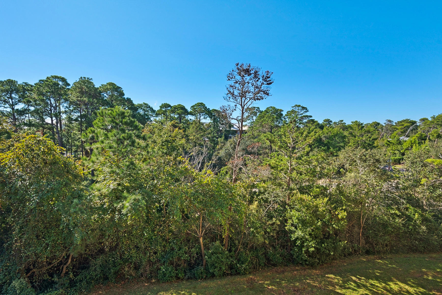 PRESERVE PLACE - Residential