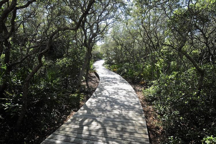 WATERSOUND BEACH, THE CROSSINGS - Residential