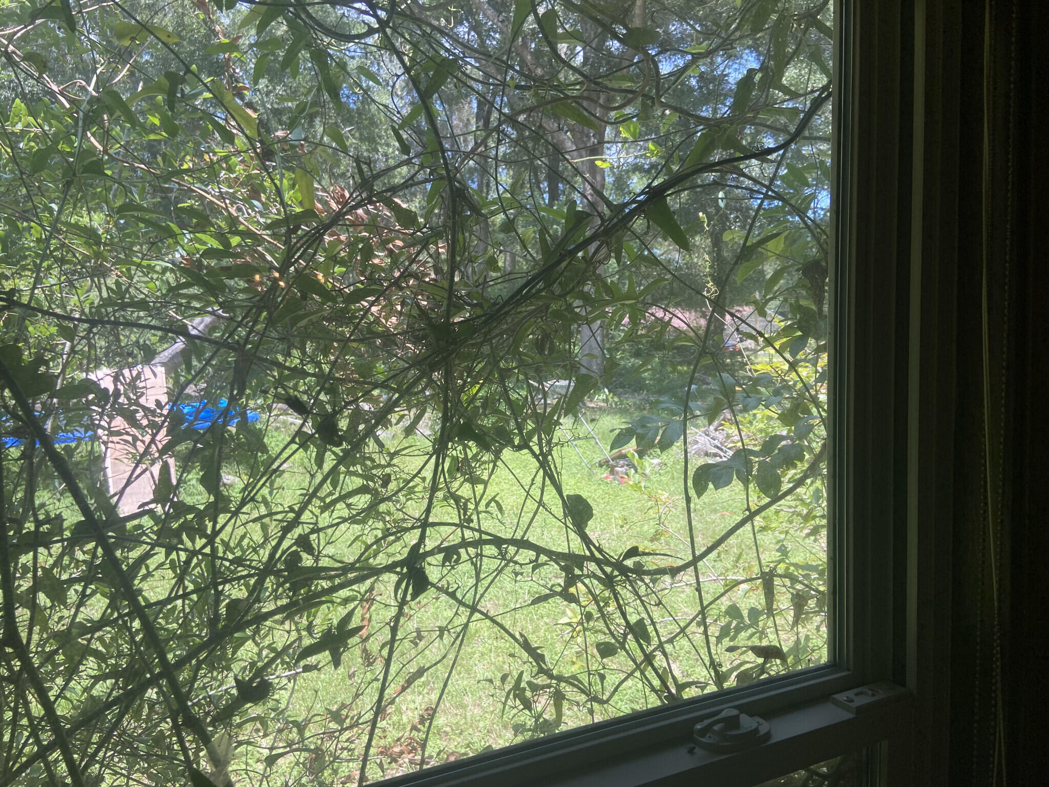 College Park/All - Residential