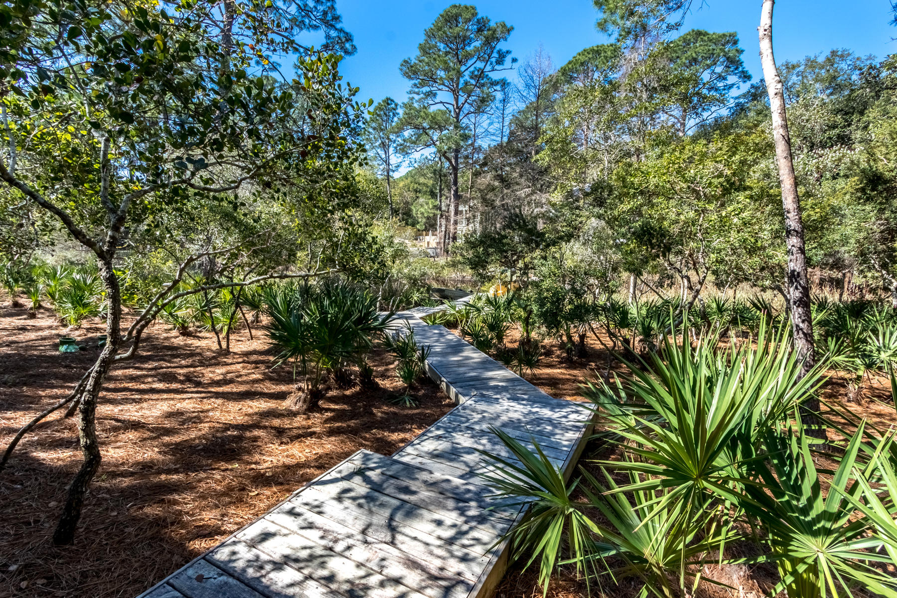 Lakeplace at Grayton Beach - Residential