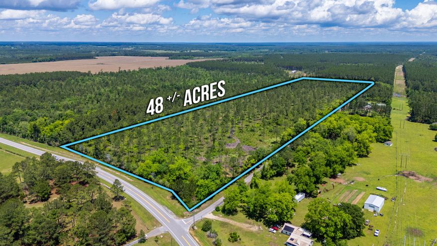 Located in the North part of Walton County on Co Hwy 0605 and Sandy Ramp Road, this 48.38 acre parcel is wooded with paved road frontage on 3 sides. Public water from the City of Paxton is available on the front portion of the property closest to Hwy 0605.  An old septic system is also near the front. Electricity and telephone are also available on the property. Property is a rich, dark soil - excellent for growing trees, crops, etc. Property is all Zone X (no wetlands). Land use is Agriculture. Property is located in the Paxton School District ( A+, K-12 School). Also, just a few miles from Lake Jackson, a park offering swimming, boating, fishing, picnics plus all water activities.
