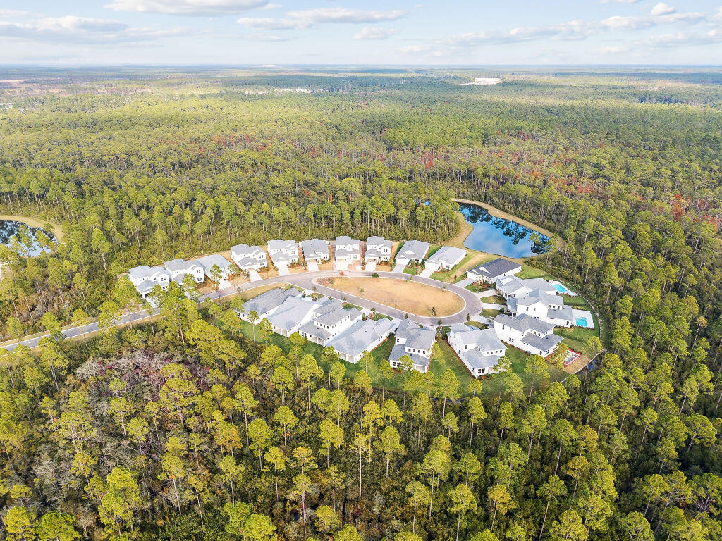 Naturewalk at Watersound - Residential