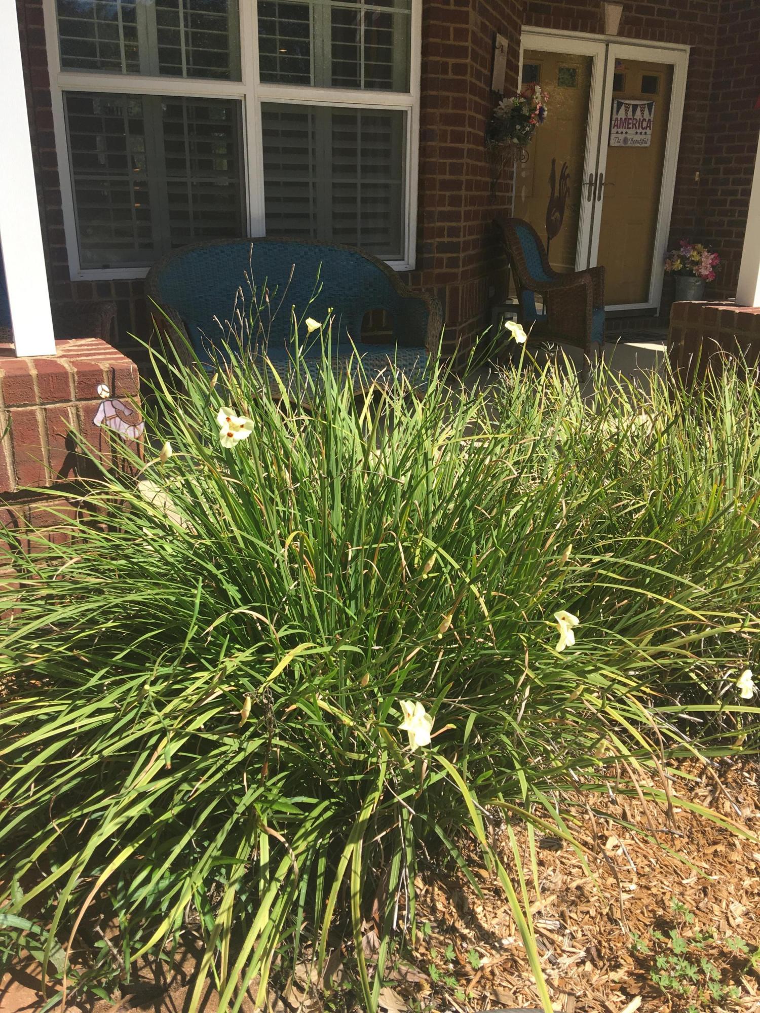 Country Club Estates - Residential