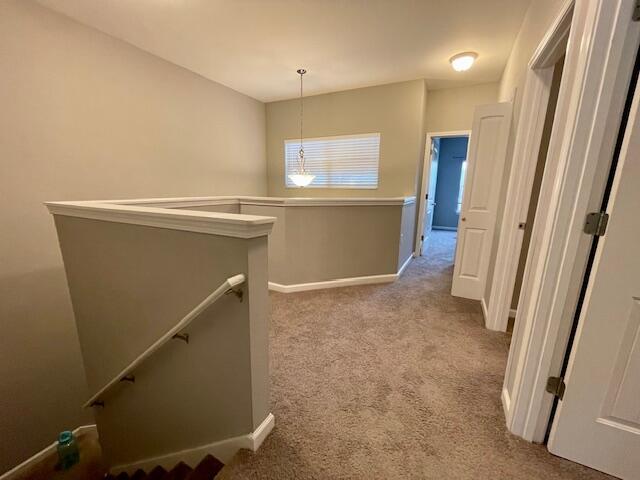 REDWOOD VILLAGE - Residential