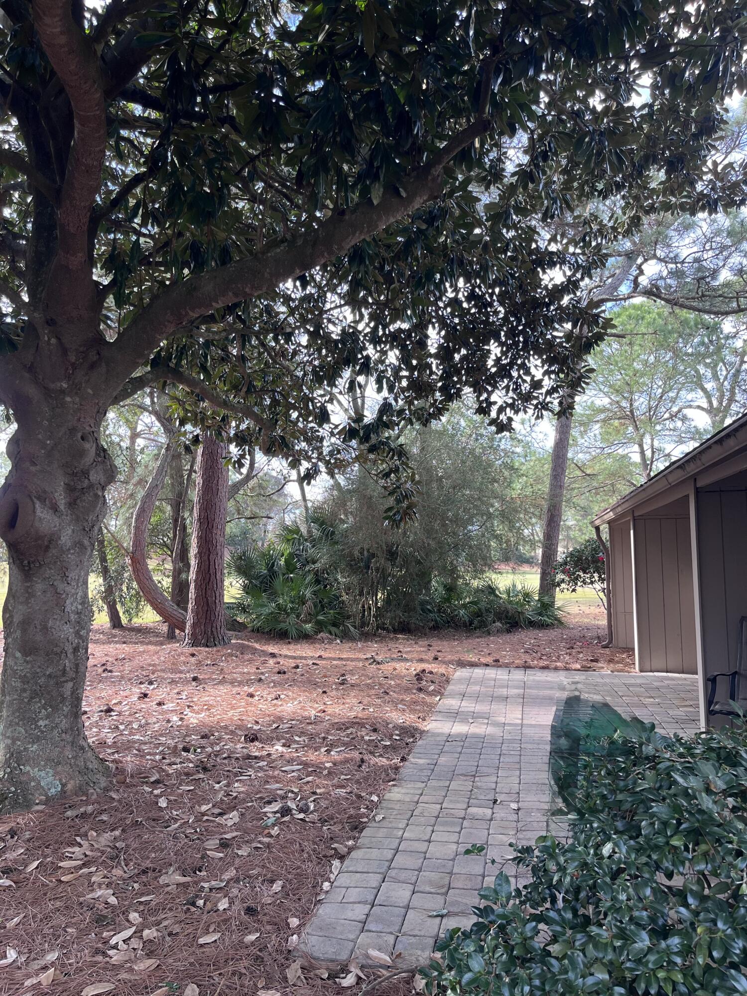 AUGUSTA VILLAGE CONDO - Residential