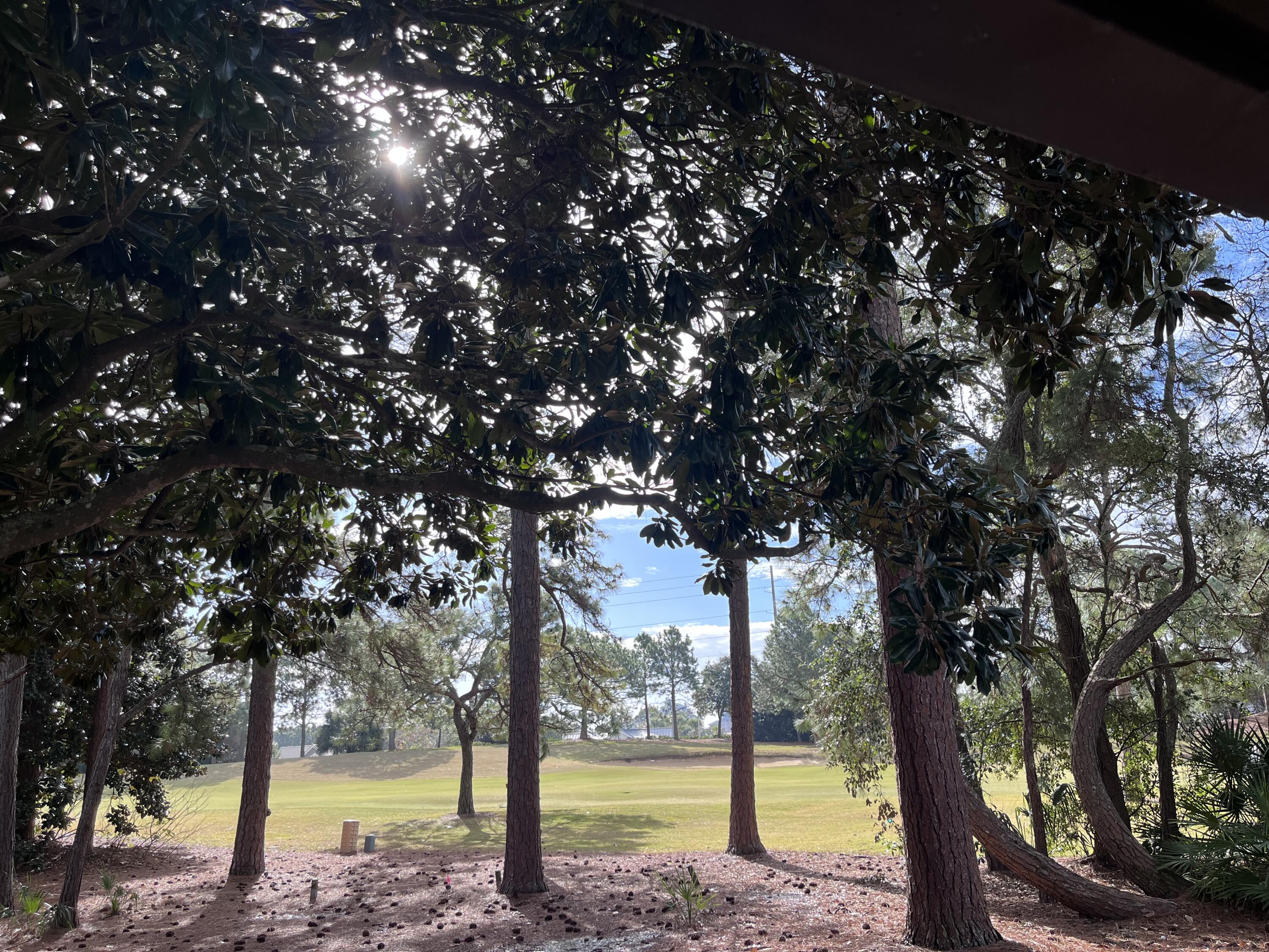 AUGUSTA VILLAGE CONDO - Residential