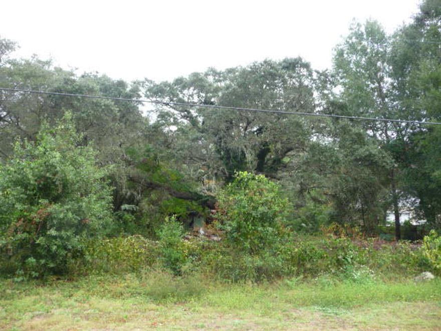 Large vacant lot (.47 acre) in Seminole area of Niceville. Wooded and fenced (metal). Prime location close to schools, shopping, medical facilities and Eglin Air Force Base, the area's largest employer. Lot is level with federal property to the rear. Abandoned/uninhabitable structure on lot. Just a short drive to the Mid Bay Bridge taking you quickly to Destins's world class beaches. Take a look today!!