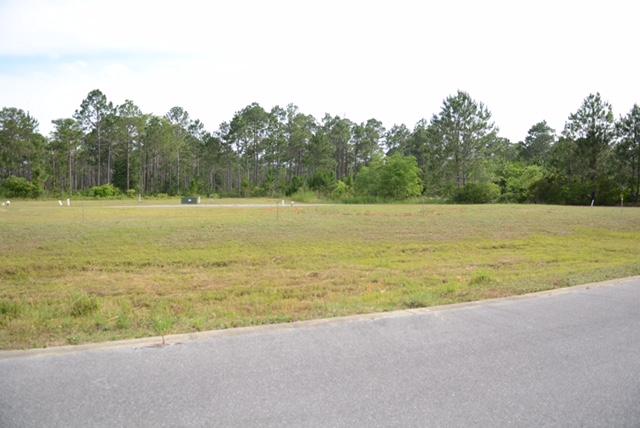 10,500 SF Light Industrial Pad site with water and sewer tap in place, underground utilities, no building setbacks, great location in Santa Rosa Beach right off of Hwy 98, turn key site, site engineering and water retention is already provided/Warehouse/ Flex Space