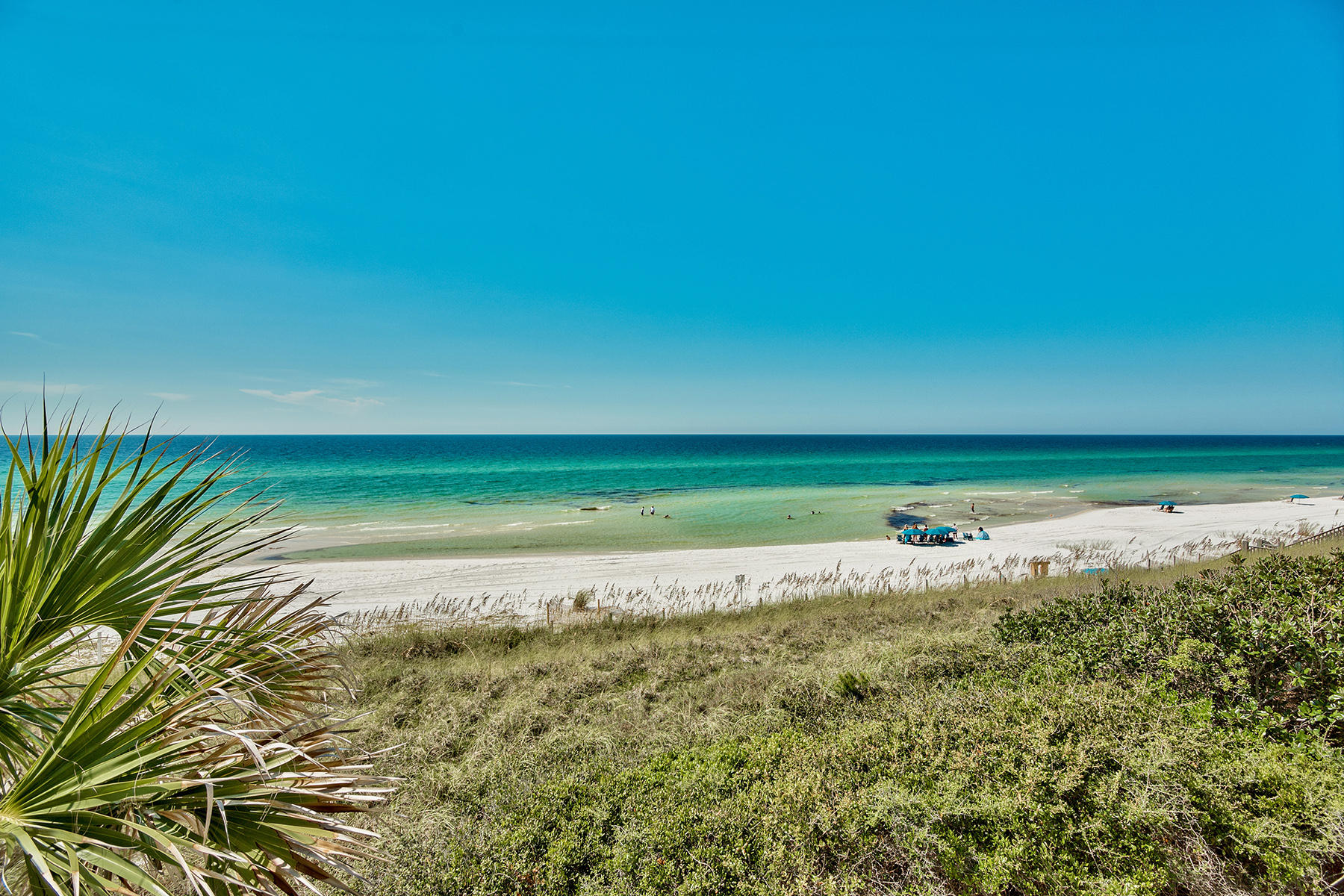 VIZCAYA AT DUNE ALLEN - Residential