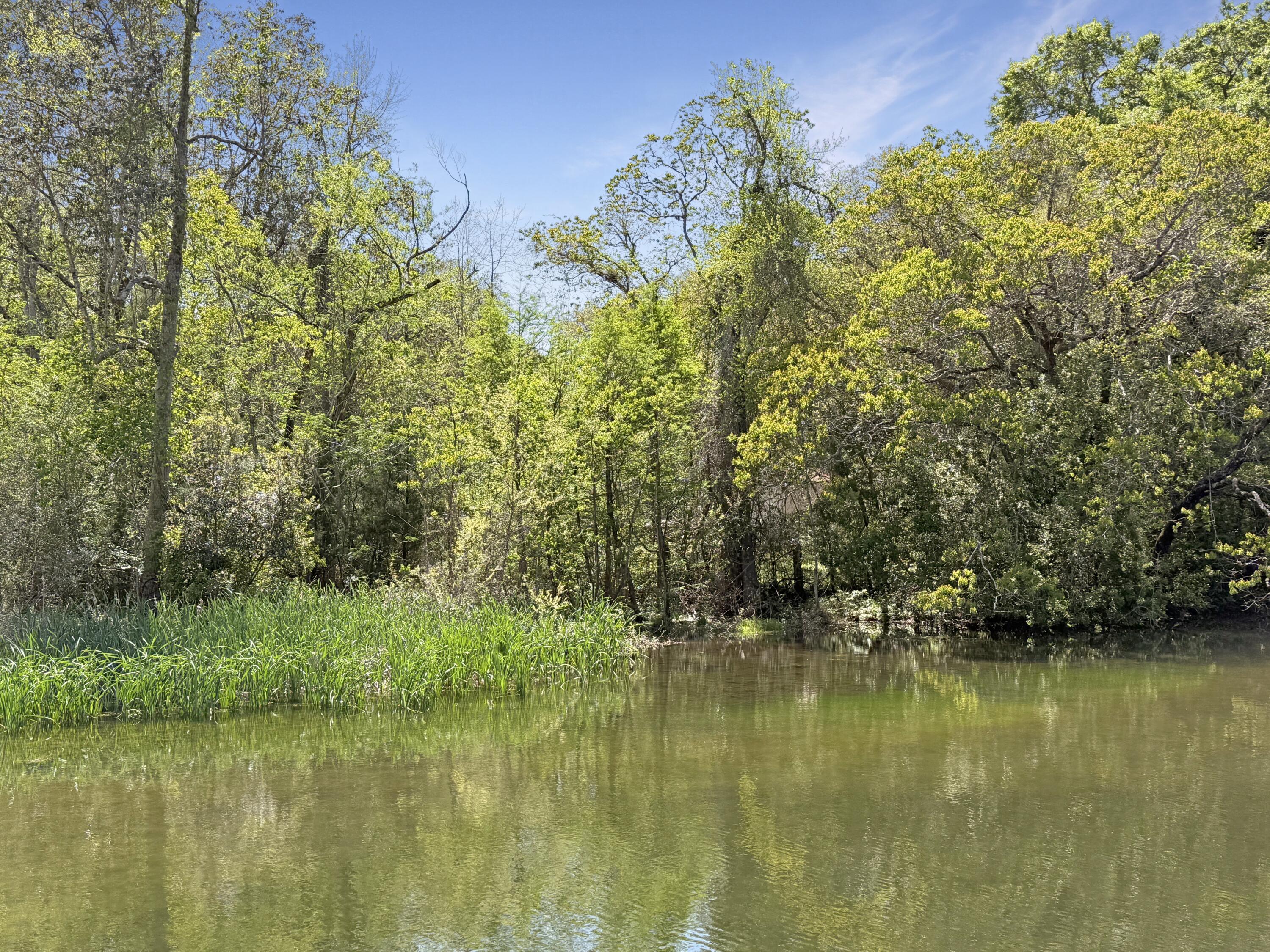 CINCO ADDN TO CRESTVIEW - Residential