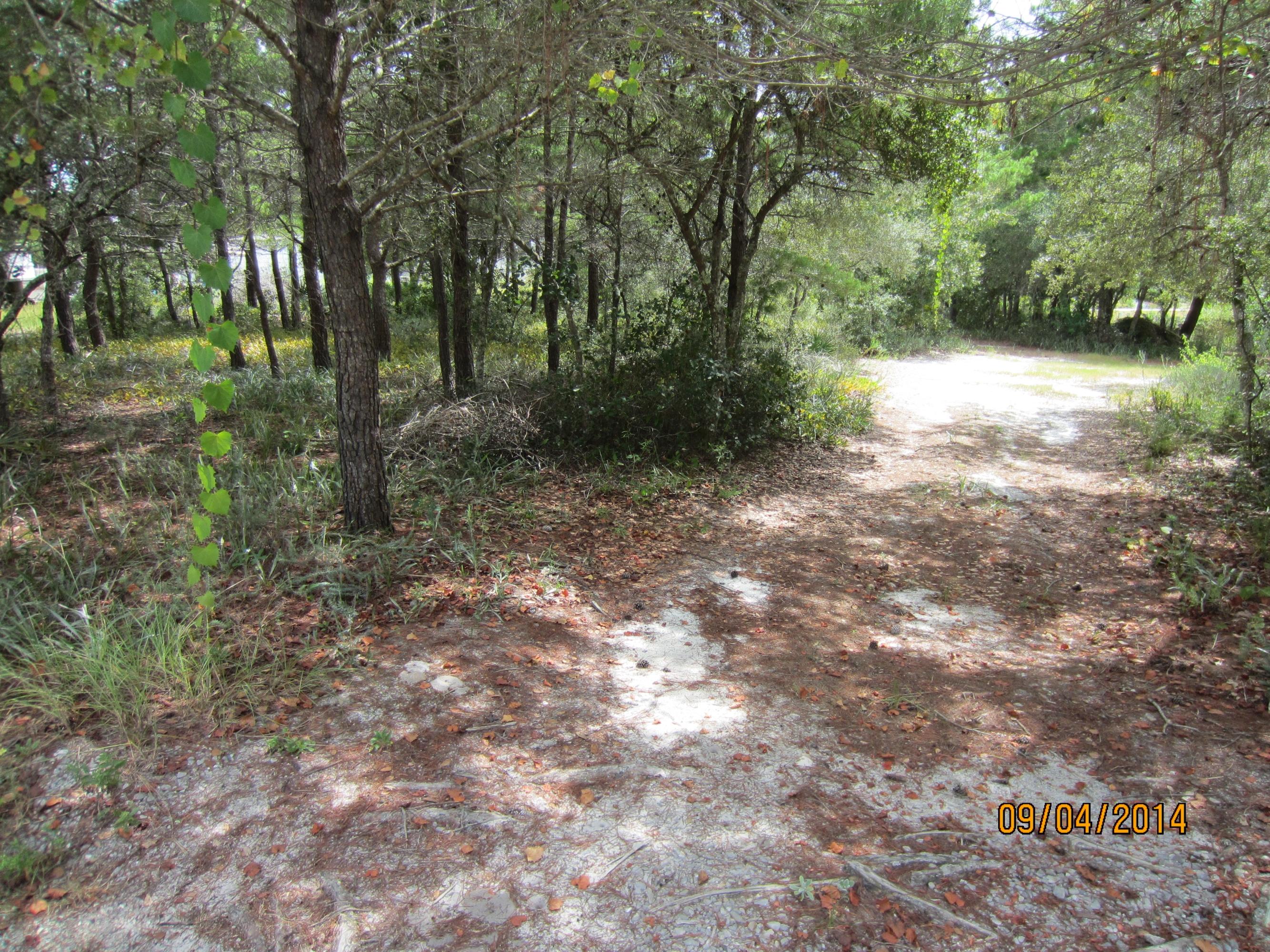 PINES OF BLUE MOUNTAIN - Land