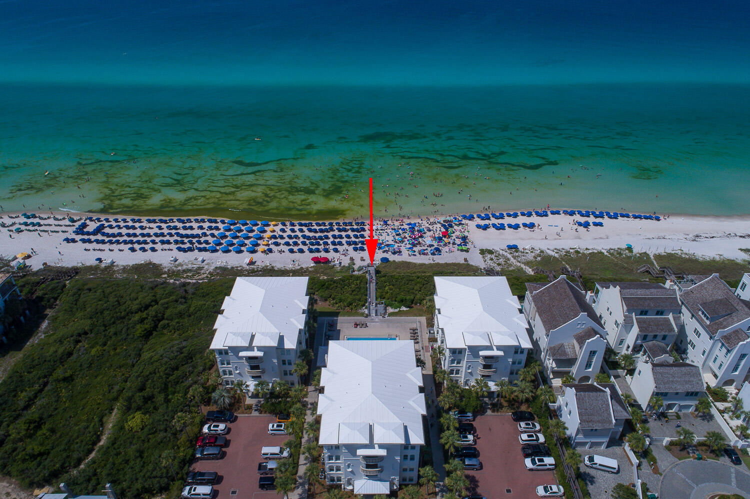 ALEXANDER AT PALM COURT - Residential