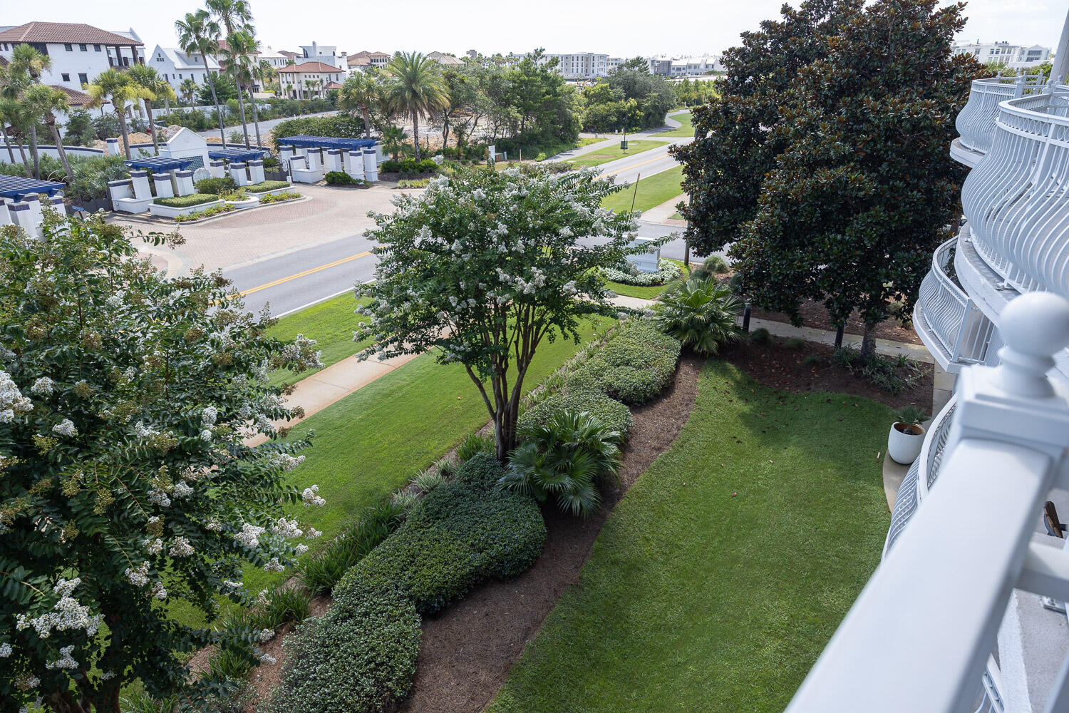 ALEXANDER AT PALM COURT - Residential