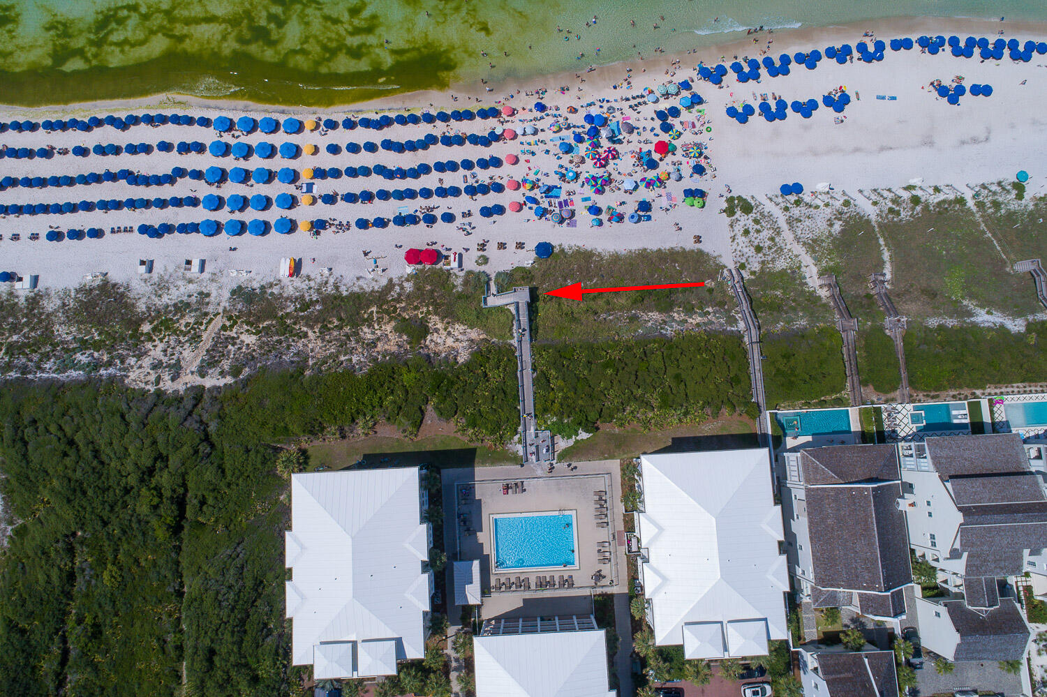 ALEXANDER AT PALM COURT - Residential