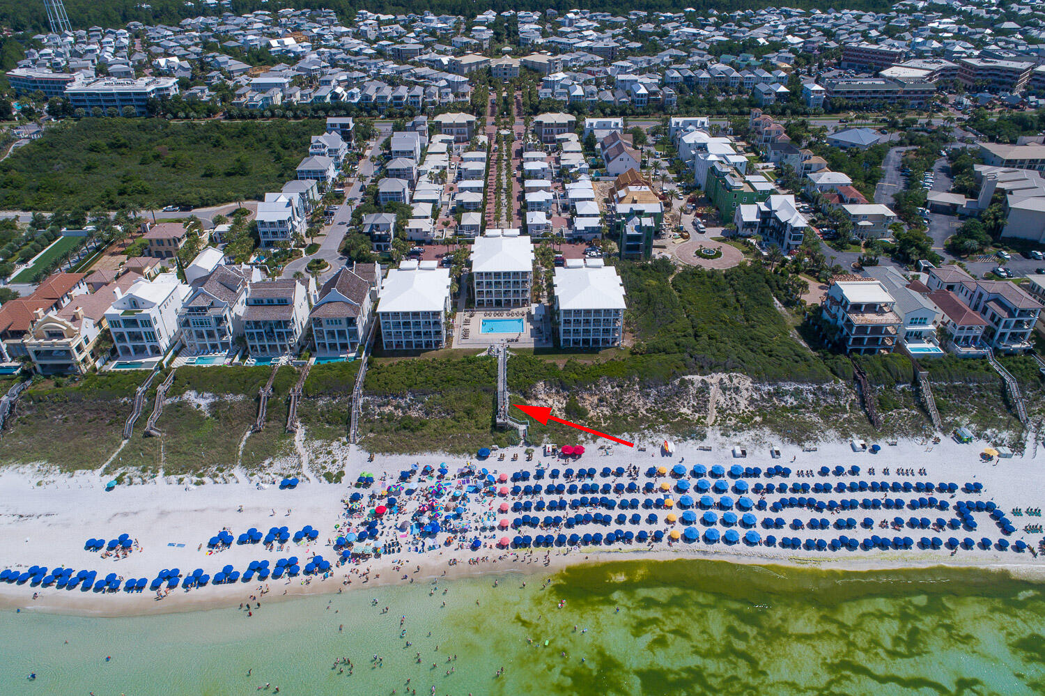 ALEXANDER AT PALM COURT - Residential