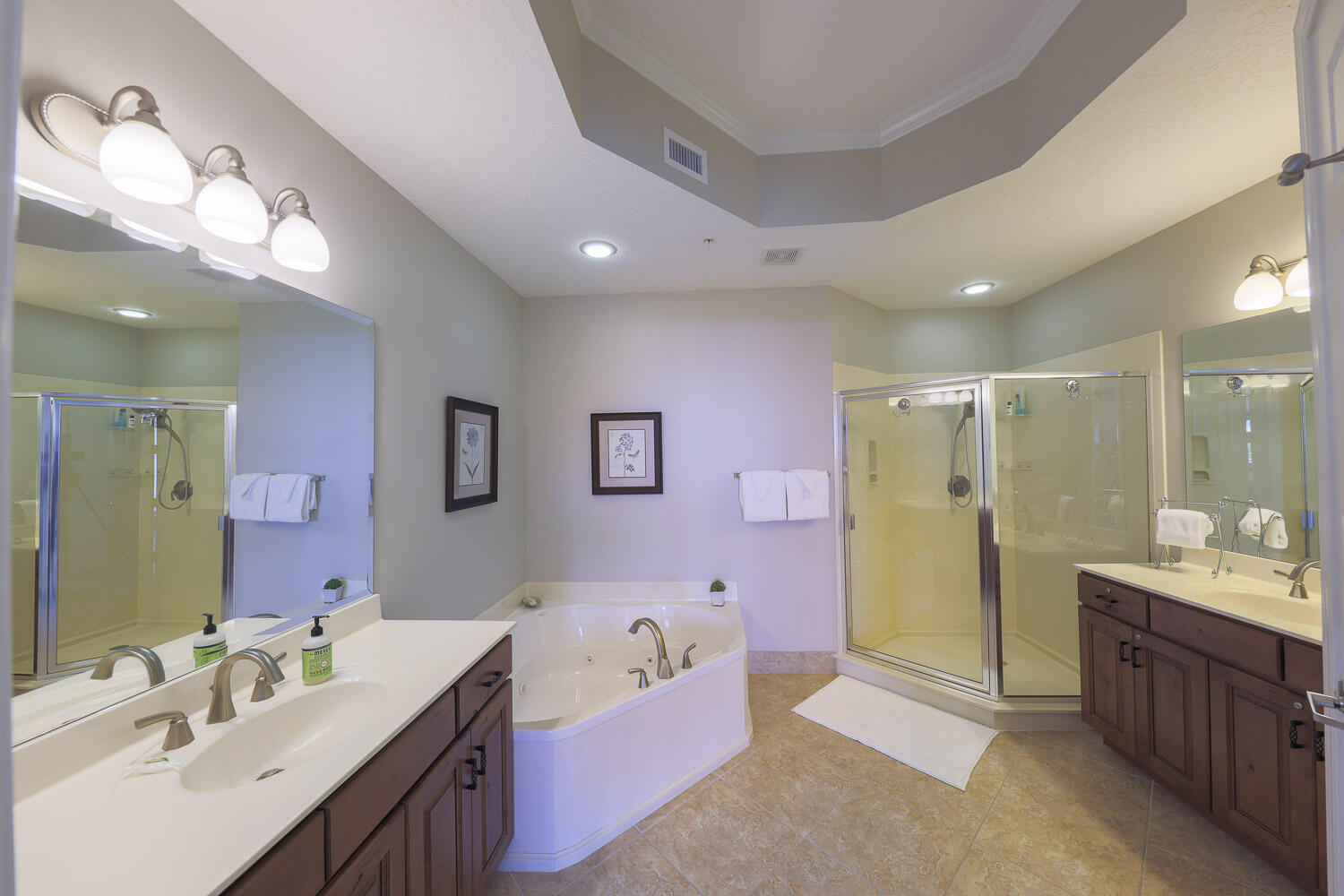 ALEXANDER AT PALM COURT - Residential