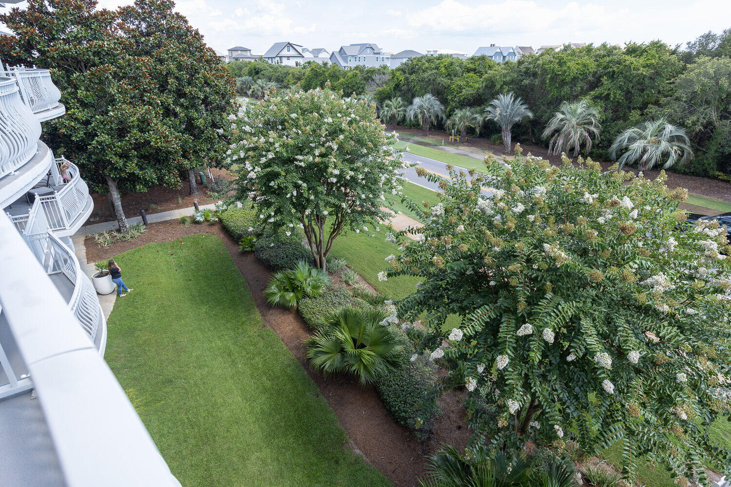 ALEXANDER AT PALM COURT - Residential