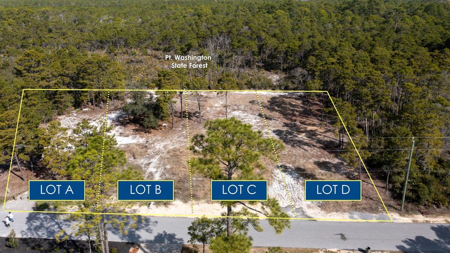 These four 0.25 acre parcels are cleared, high and dry, with no wetlands, and ready for construction, offering a rare opportunity to own a spacious homesite with flexibility and convenience. May be purchased as separate parcels or combined. The closest public beach access is a short 7 minute walk and 9 other beach accesses are within a 1-mile radius, making the Gulf of Mexico easily accessible by foot, bike, or golf cart. No HOA means no restrictions on parking boats, RVs, or other recreational vehicles. Short-term rentals are allowed, offering excellent potential for investment or a private coastal retreat. Backing up to Point Washington State Forest, this location provides privacy and direct access to nature while just minutes from Seagrove Beach's top restaurants, shopping, and outdoor activities along Scenic 30A. Whether you're looking to build a primary residence, vacation home, or rental property, this lot (or lots) offers the space and freedom to design your ideal beachside retreat.*Buyer is responsible for personally verifying details about this property. Any information contained****