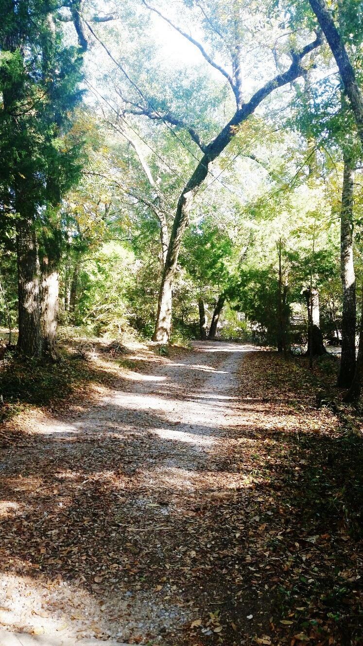 VALPARAISO PINECREST 6 - Residential