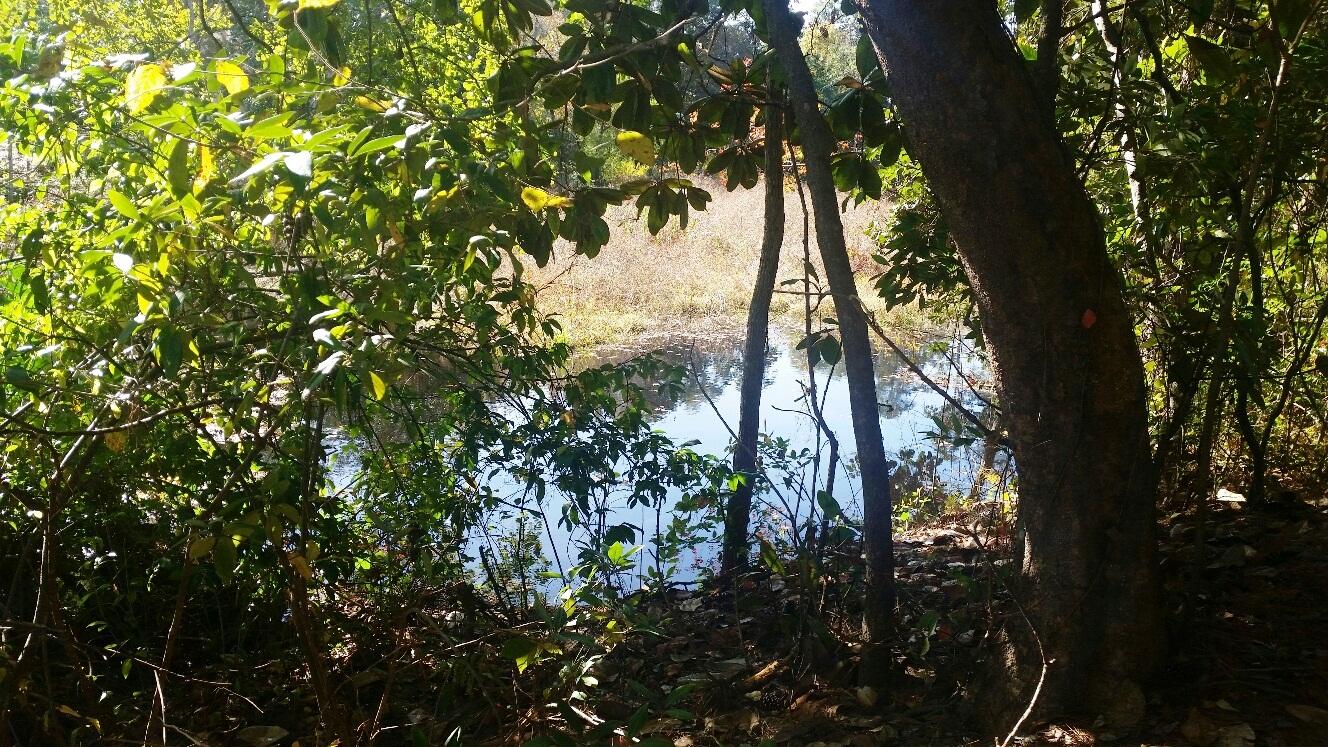 VALPARAISO PINECREST 6 - Residential