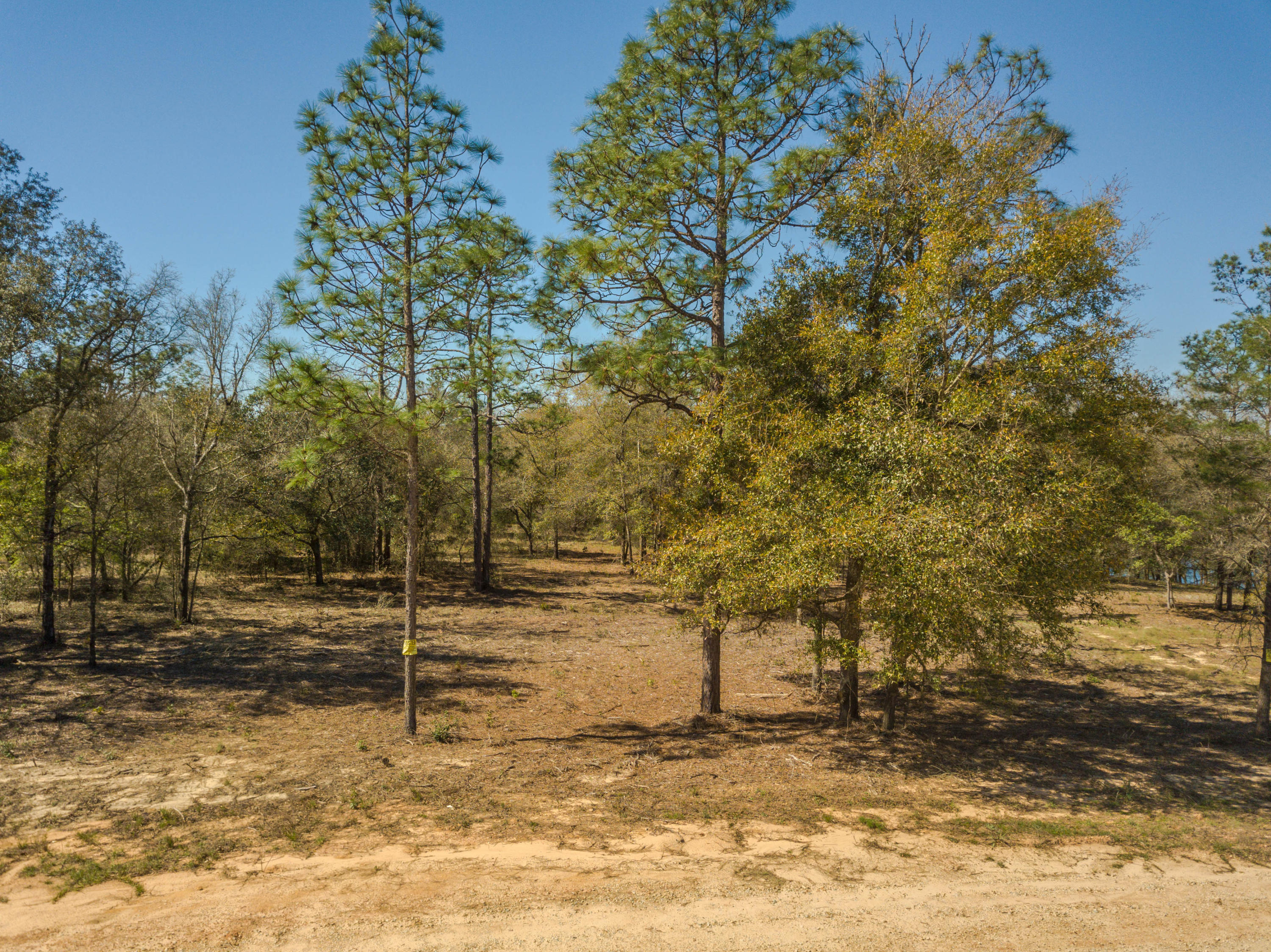 SPRING LAKE #1 - Land