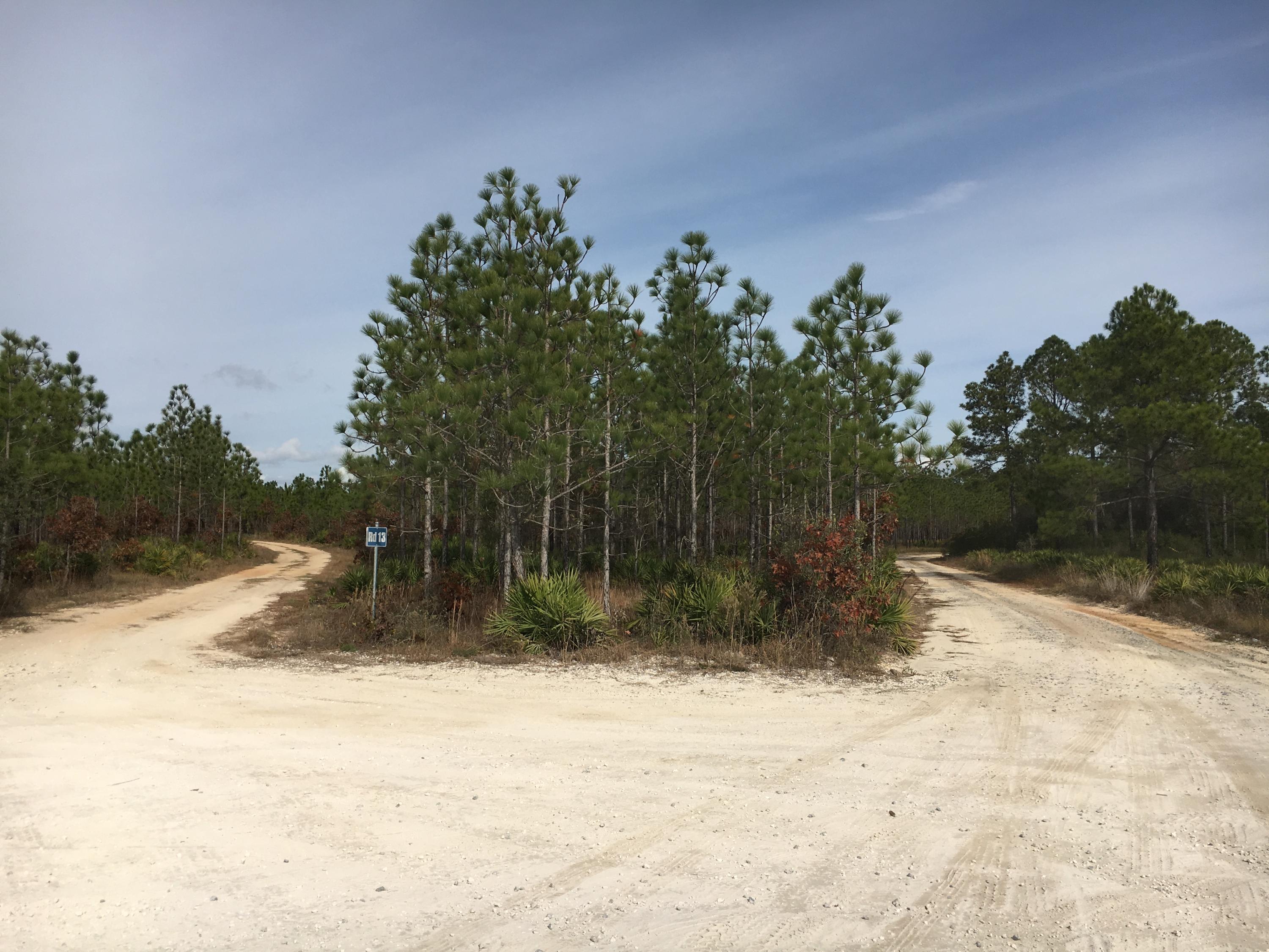 AUDUBON POINT - Residential