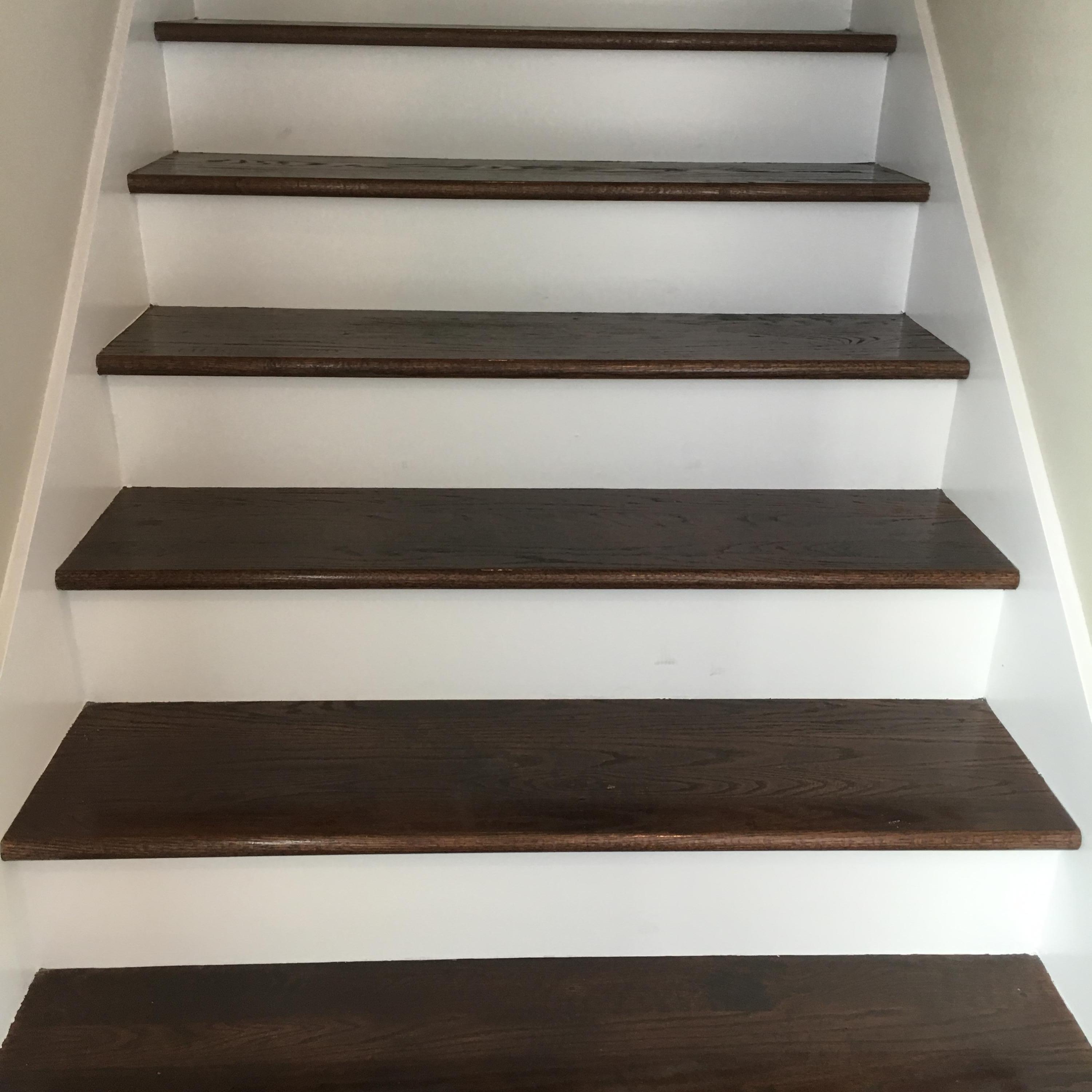 AUDUBON POINT - Residential