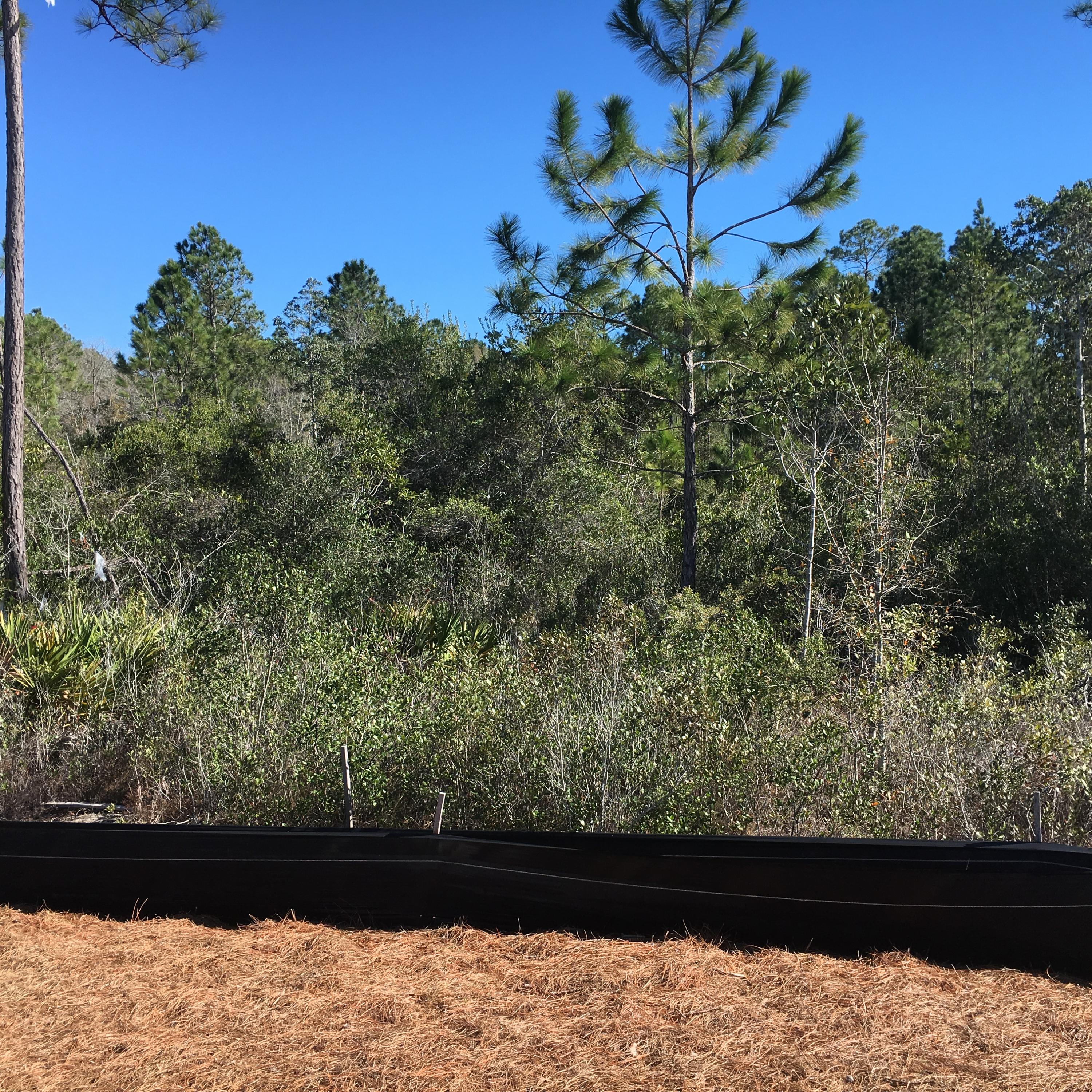 AUDUBON POINT - Residential