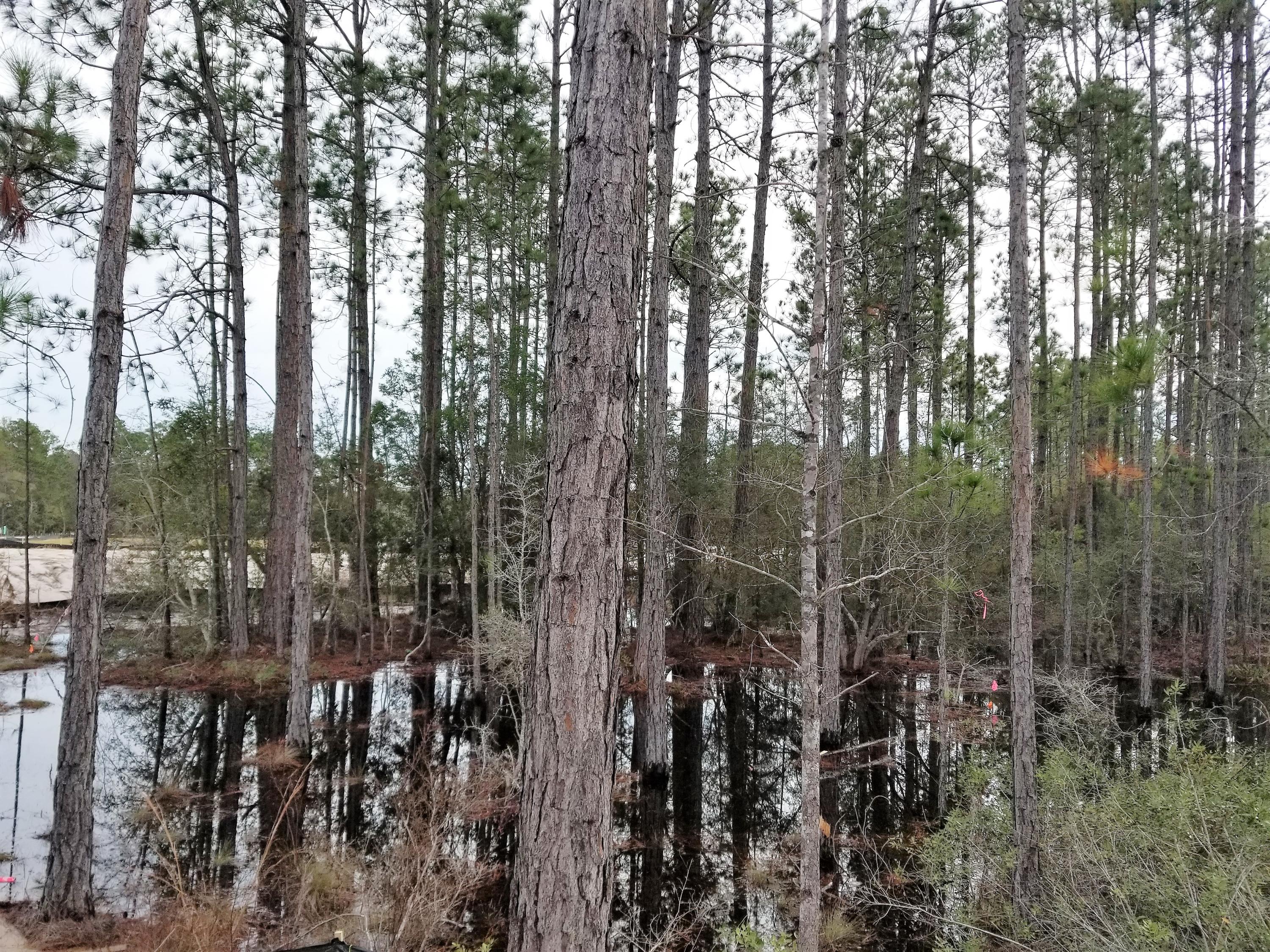 Peach Creek PH 4 - Residential