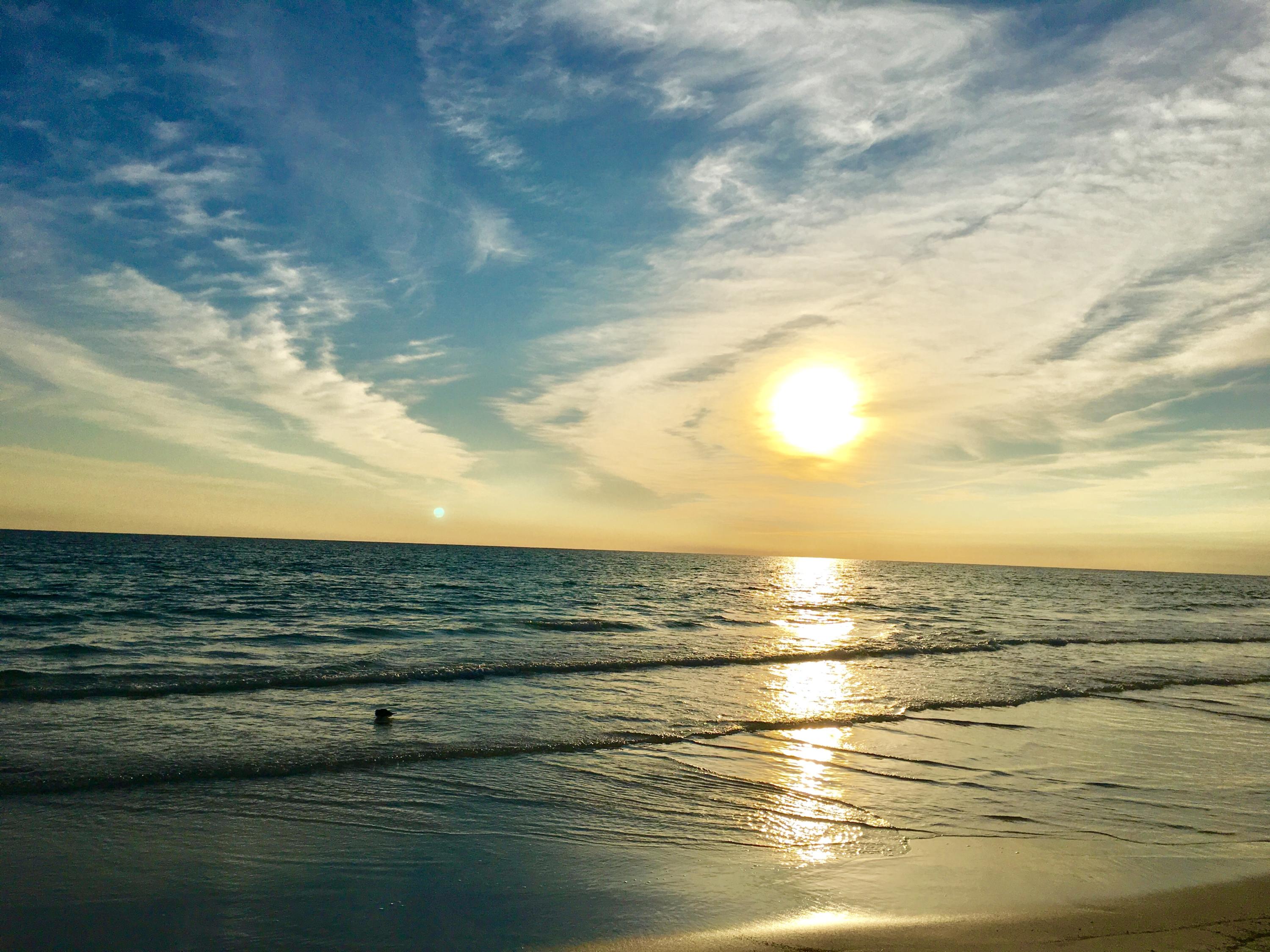 Dune 1 - Residential