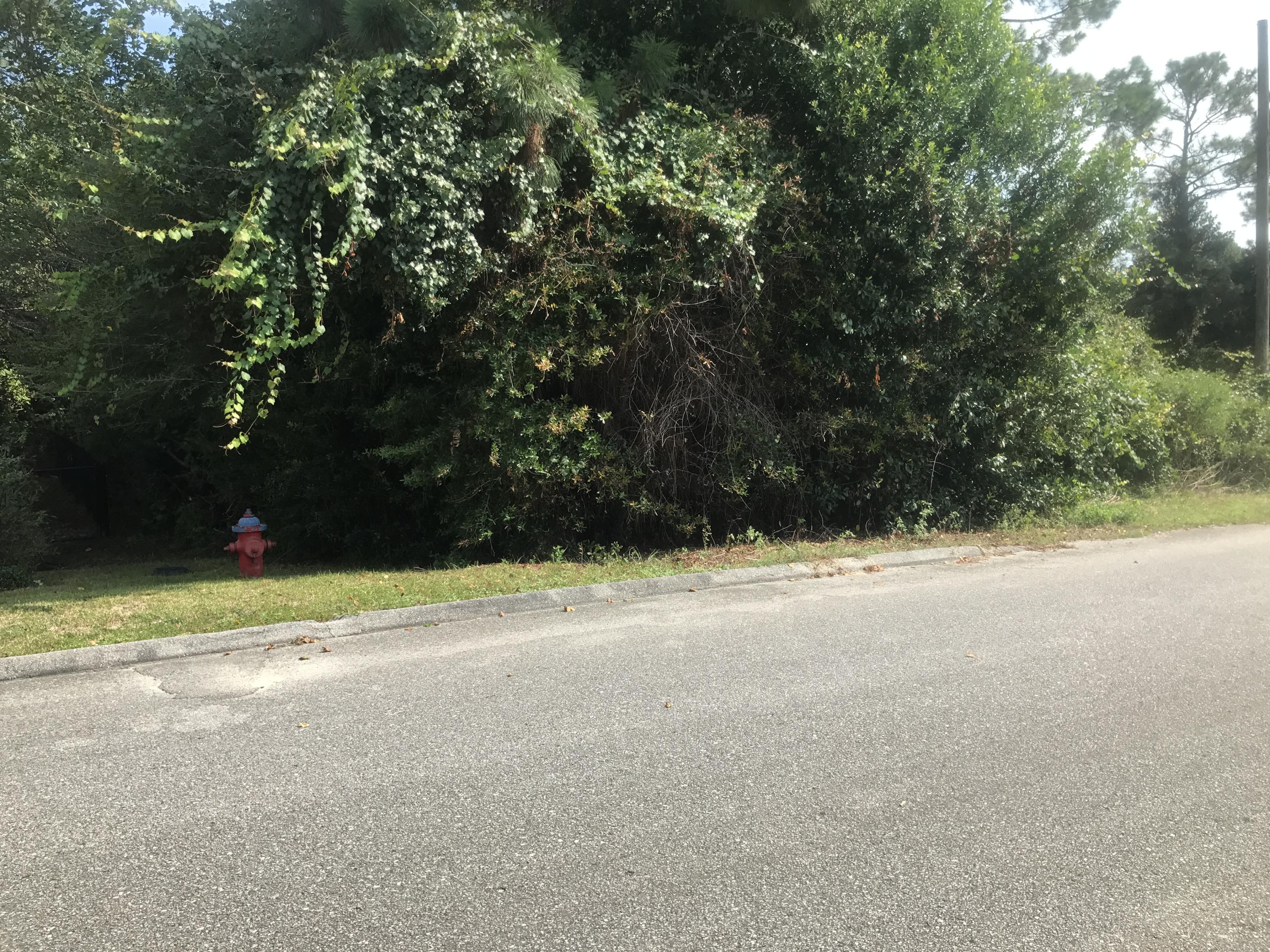 TWO lots in South Crestview off of PJ Adams. Parcel ID's are: 313N23441B00020280 & 313N23441B00020290. Bring your plans and enjoy a greenbelt view!